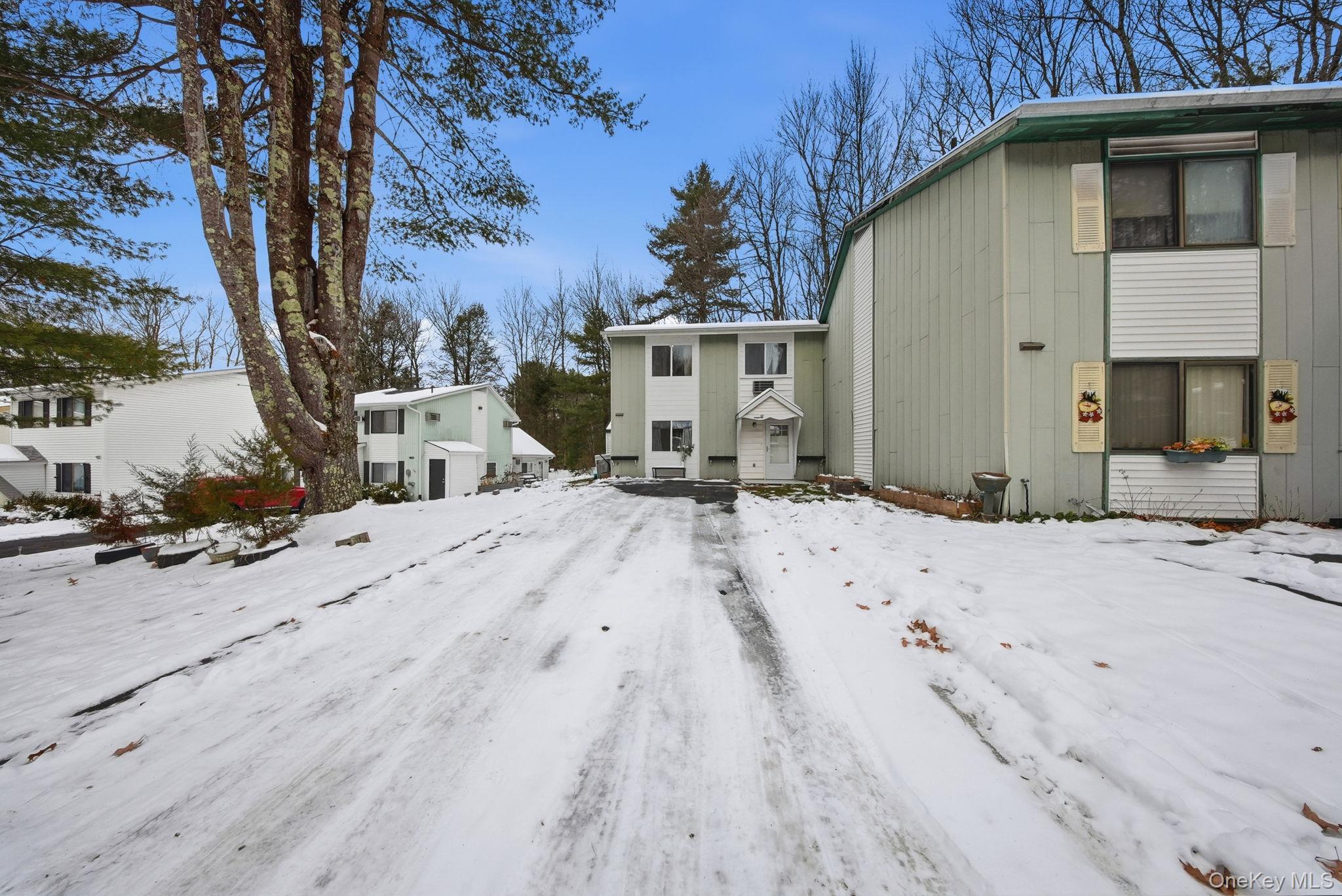 Single Family Elizabeth  Sullivan County, NY 12751, MLS-943716-3