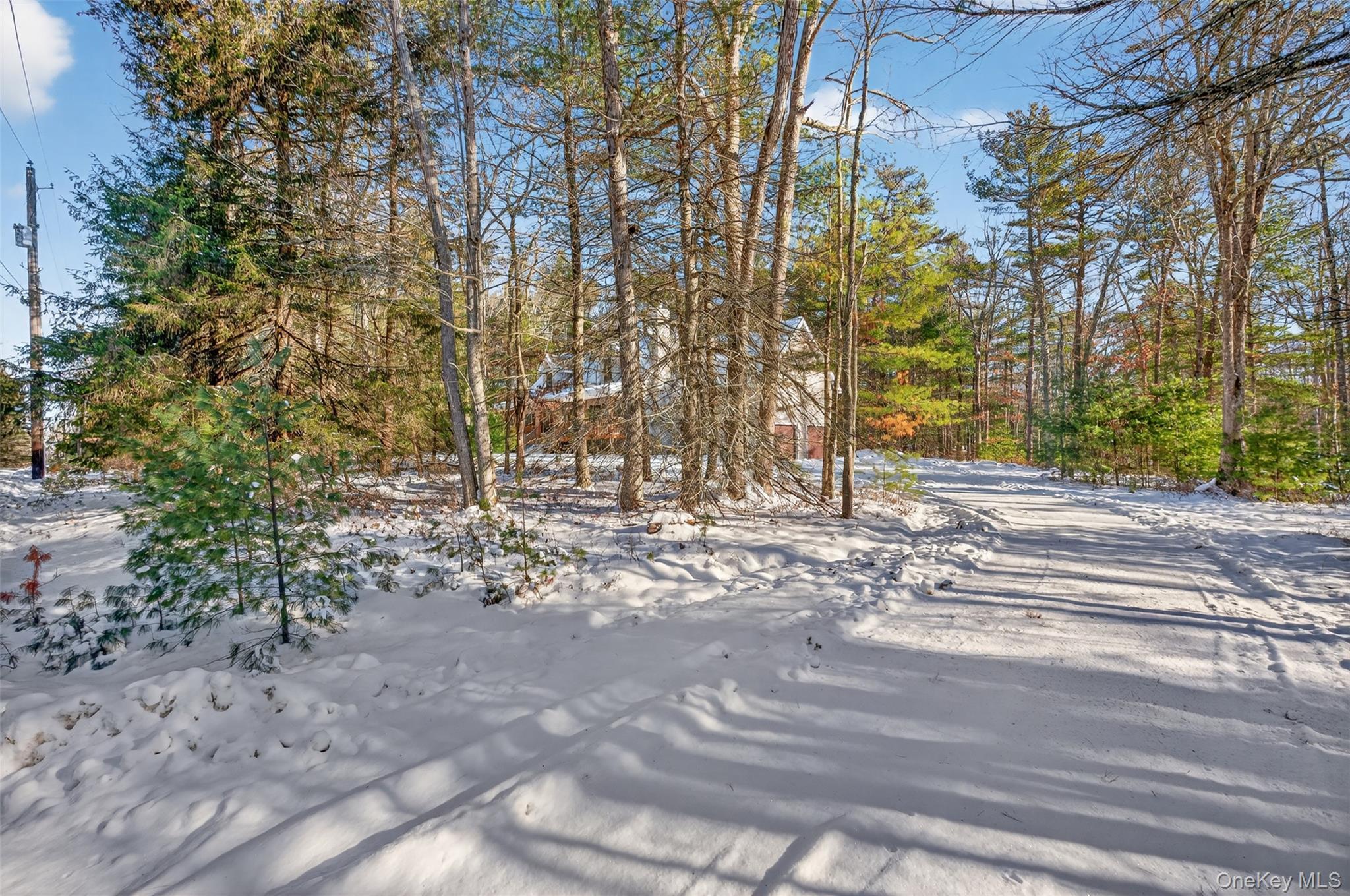 Single Family Ozeriany Sullivan County, NY 12719, MLS-943916-2