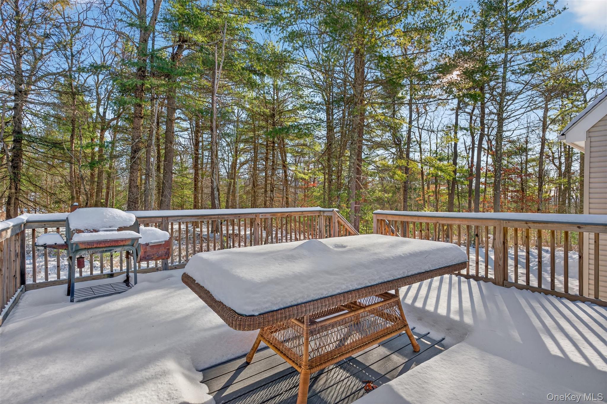 Single Family Ozeriany Sullivan County, NY 12719, MLS-943916-20