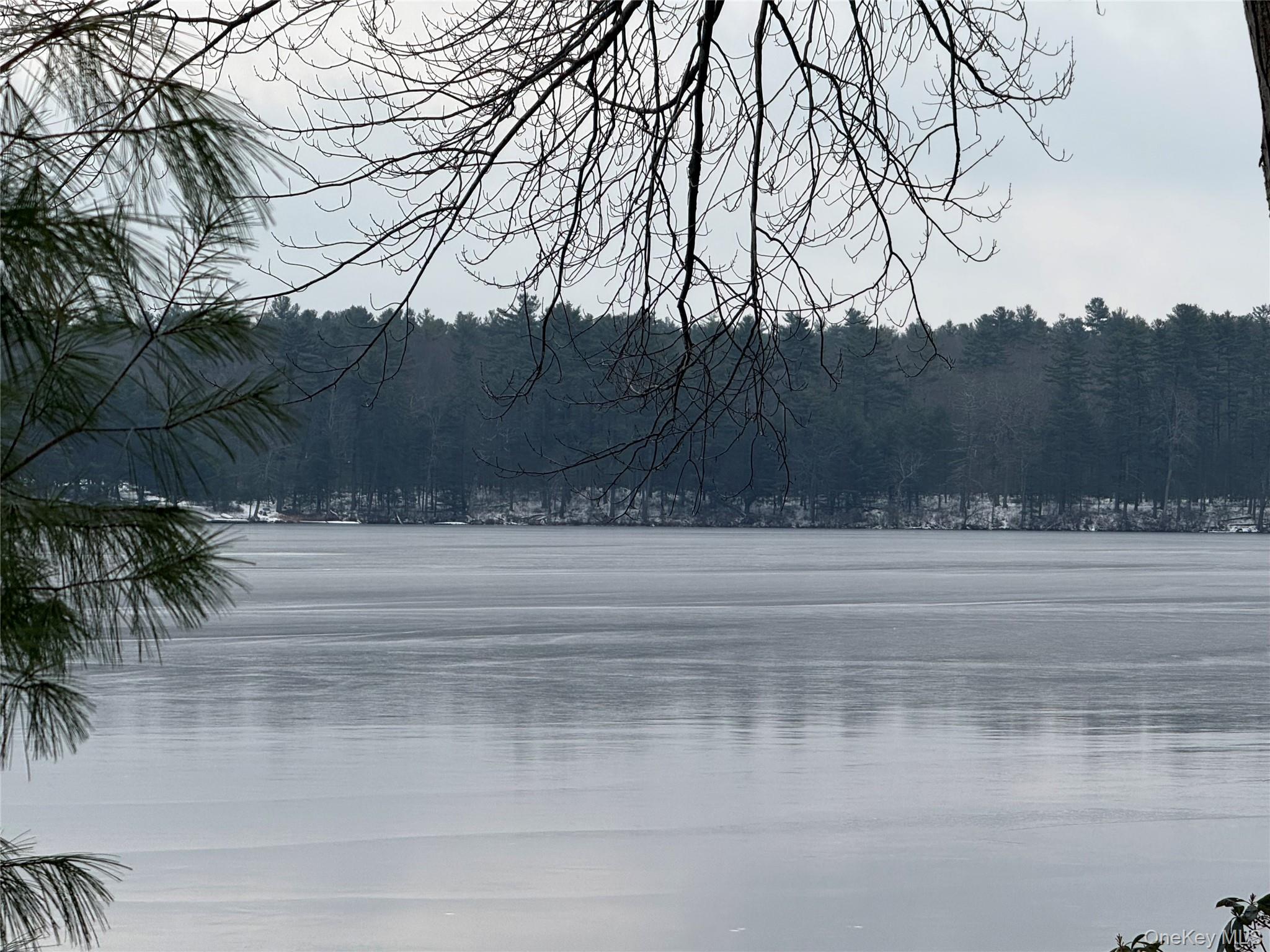 Single Family Ozeriany Sullivan County, NY 12719, MLS-943916-34