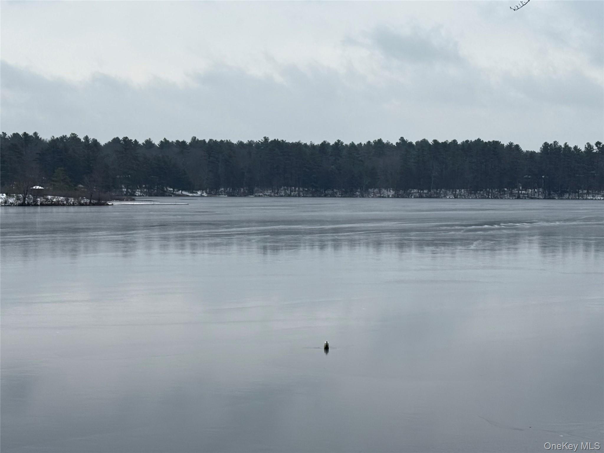 Single Family Ozeriany Sullivan County, NY 12719, MLS-943916-35