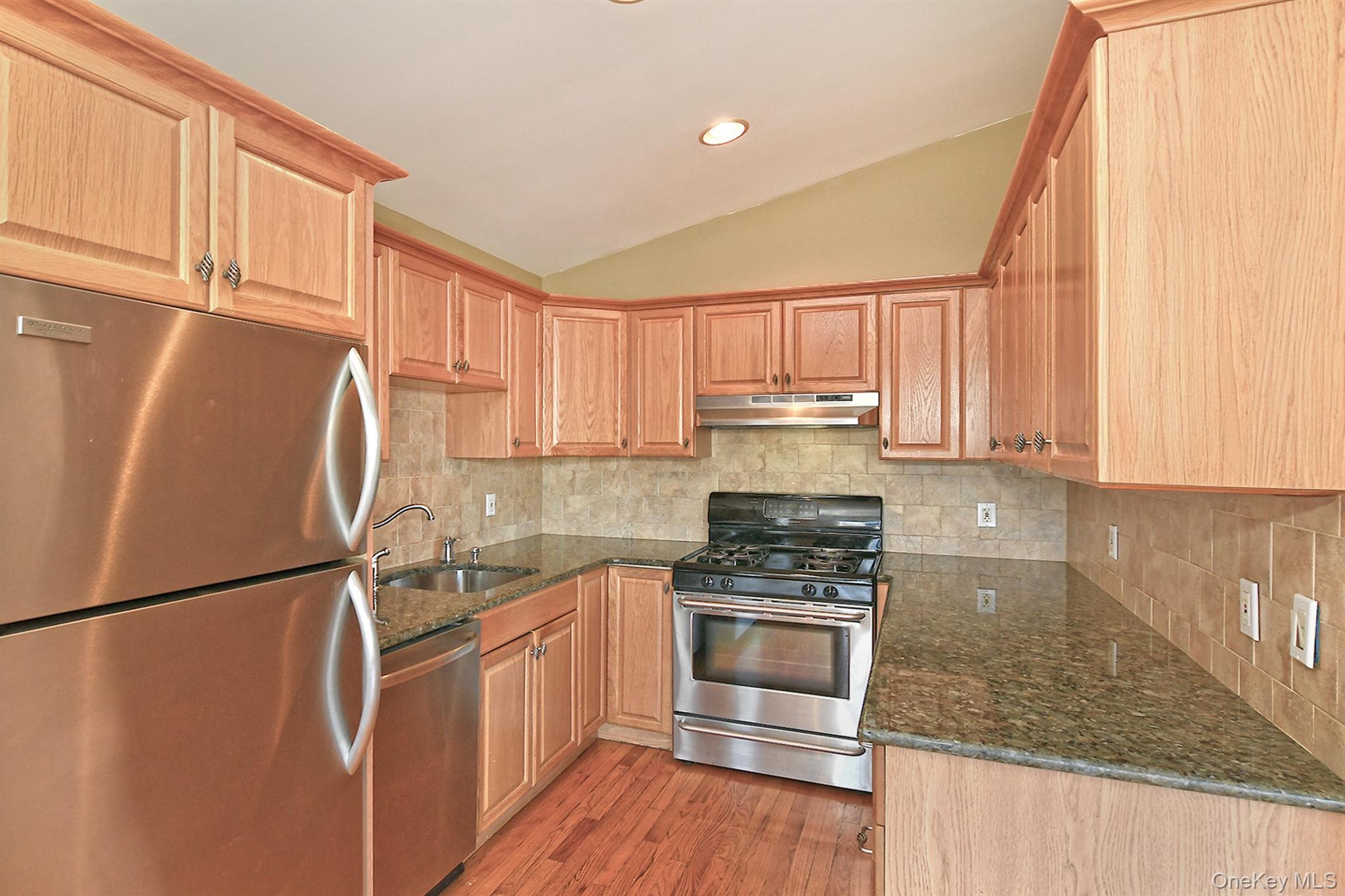 Single Family Miller Nassau County, NY 11801, MLS-943918-9