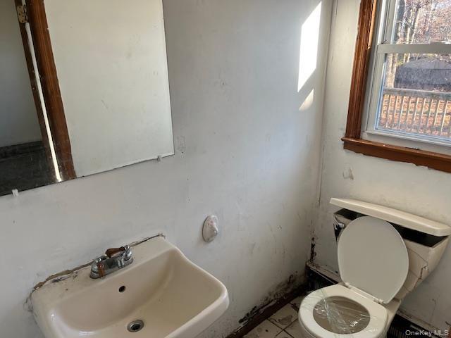 Single Family Connetquot  Suffolk County, NY 11722, MLS-944089-16