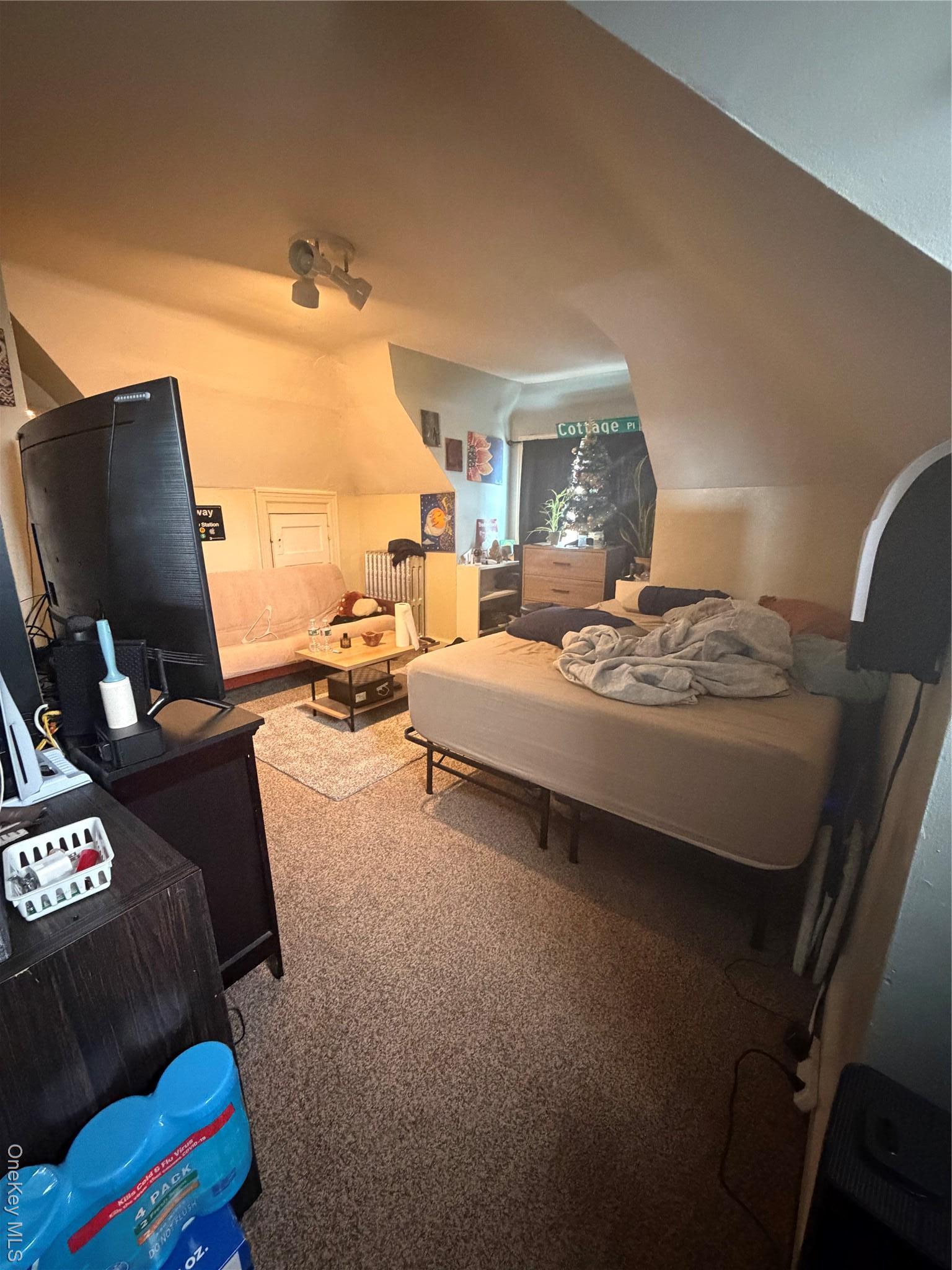 Single Family Buell  Queens, NY 11369, MLS-944219-24