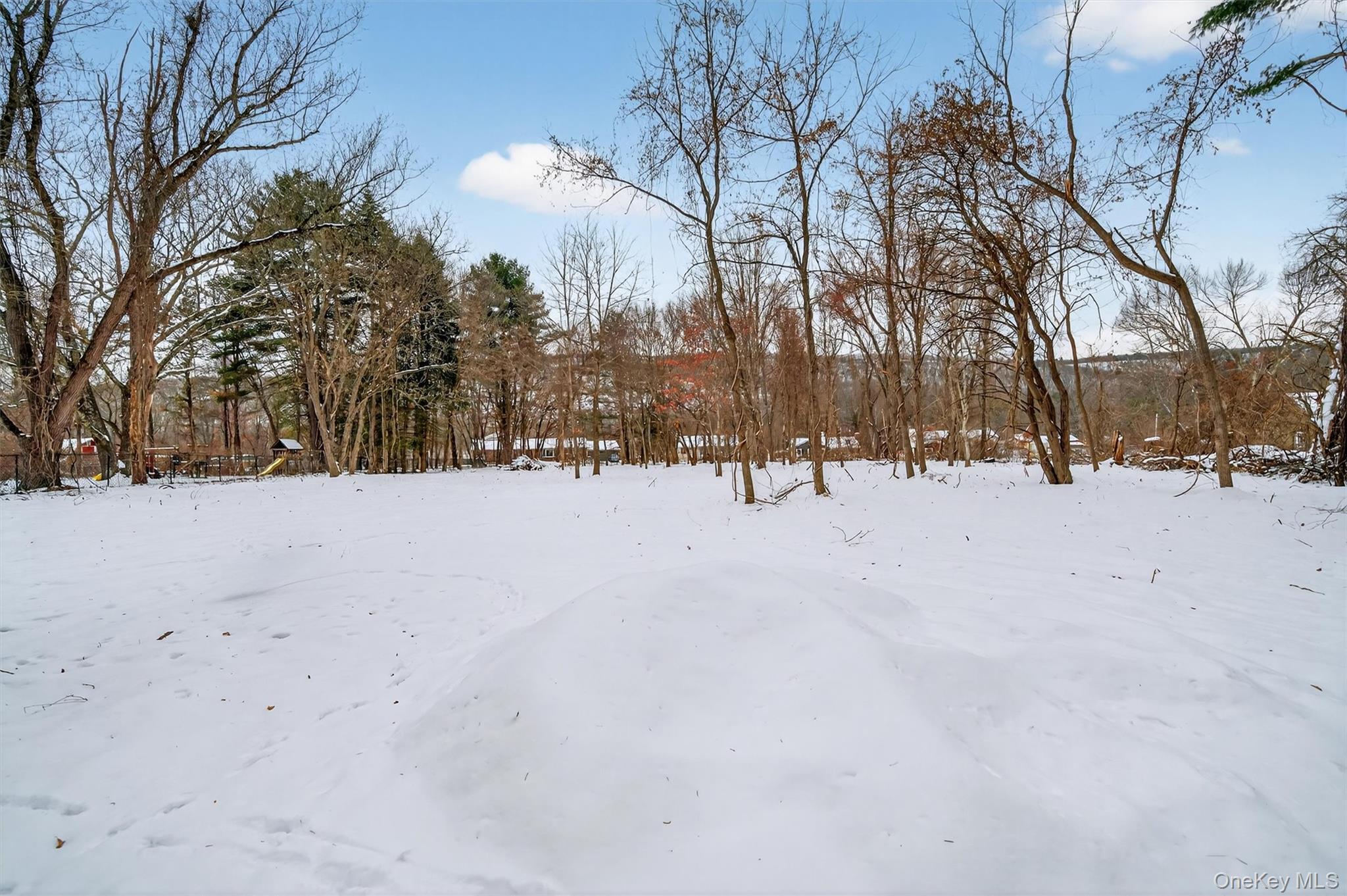 Single Family Route 209 Orange County, NY 12771, MLS-944297-2