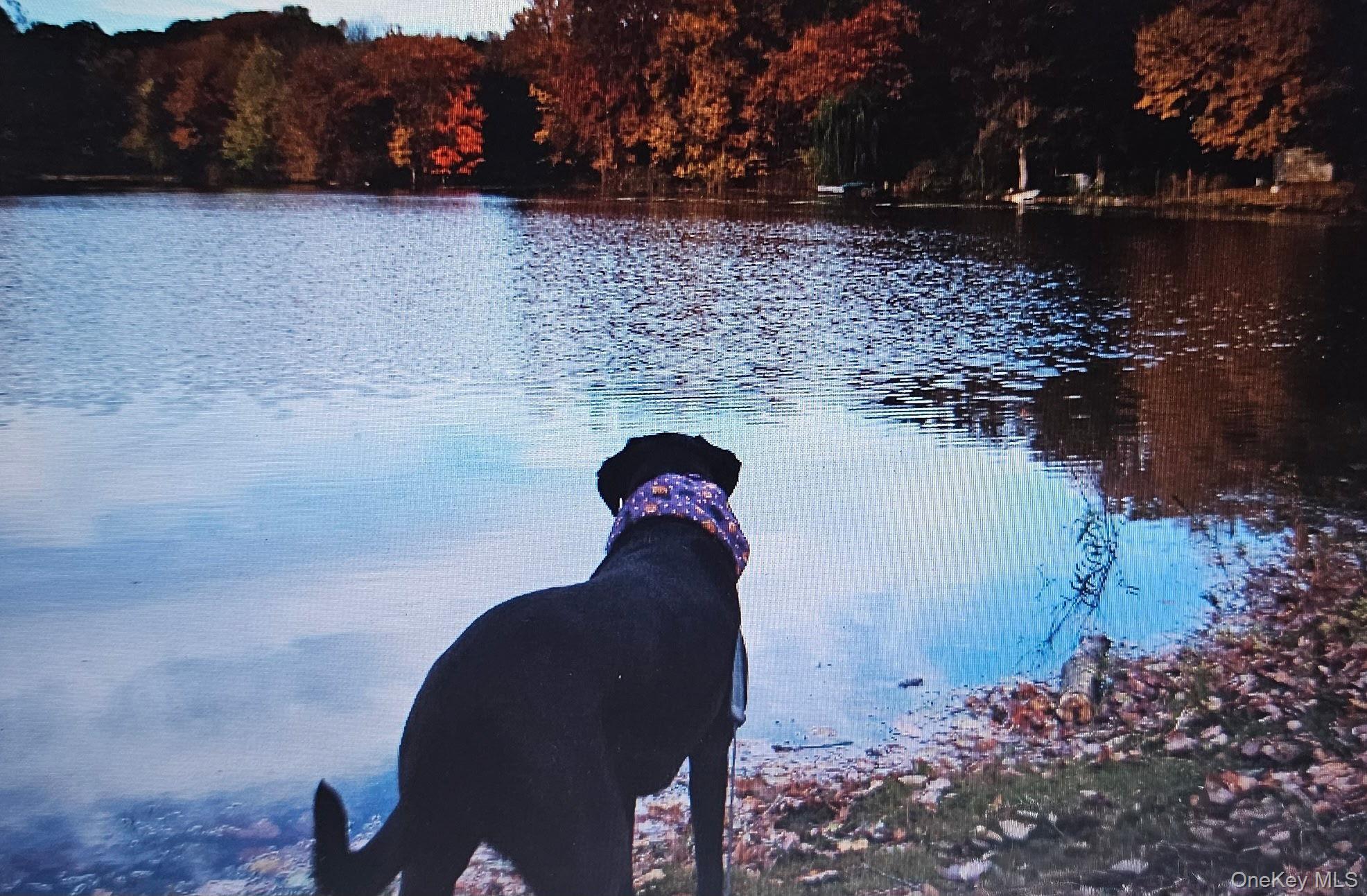 Single Family Kent Shore Putnam County, NY 10512, MLS-944305-15