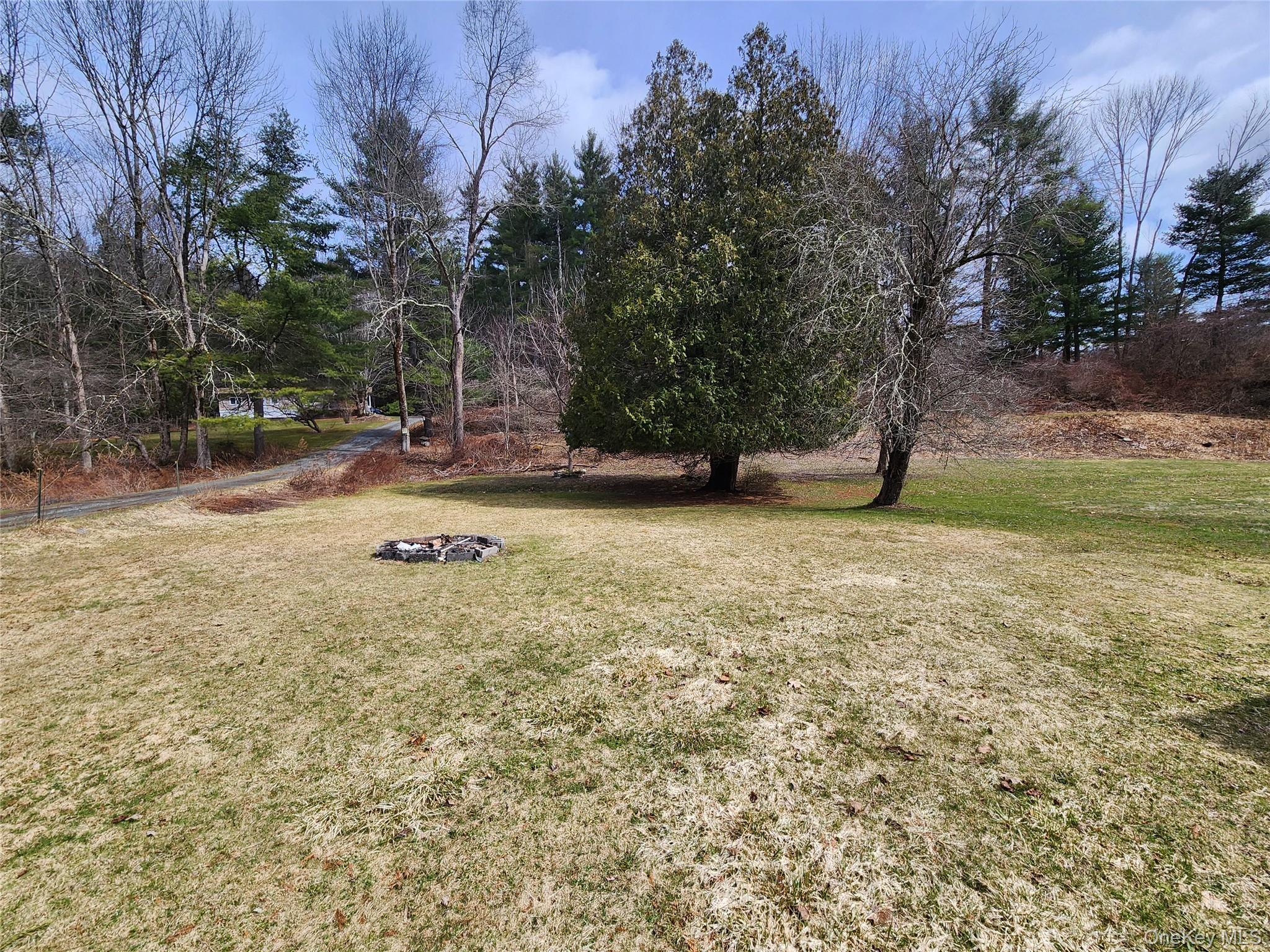 Single Family Hankins  Sullivan County, NY 12736, MLS-944503-19