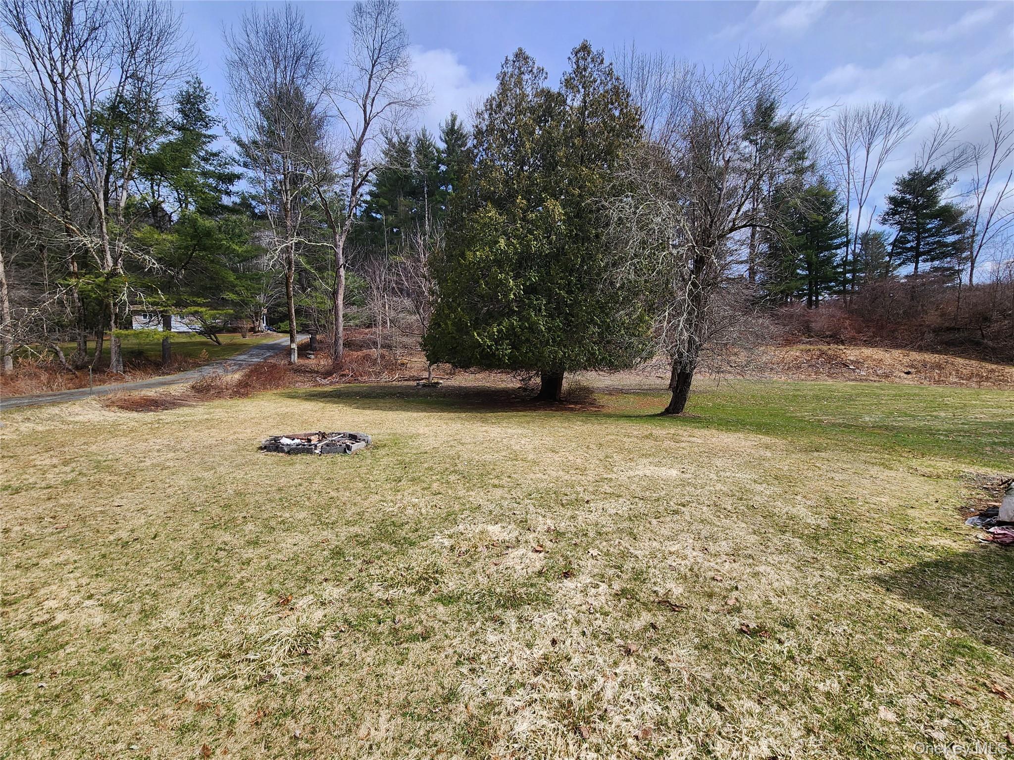 Single Family Hankins  Sullivan County, NY 12736, MLS-944503-24