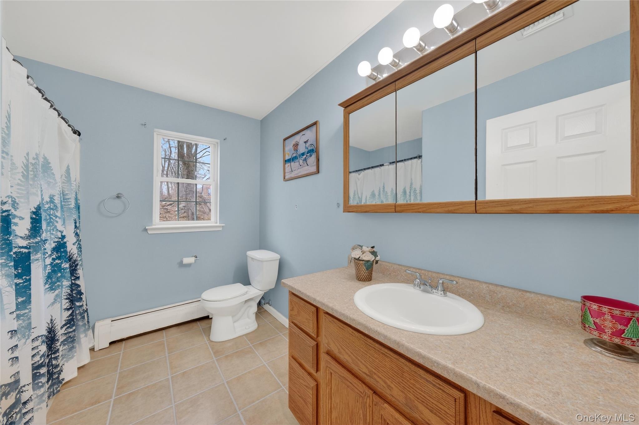 Single Family Robinson  Orange County, NY 12550, MLS-944529-12