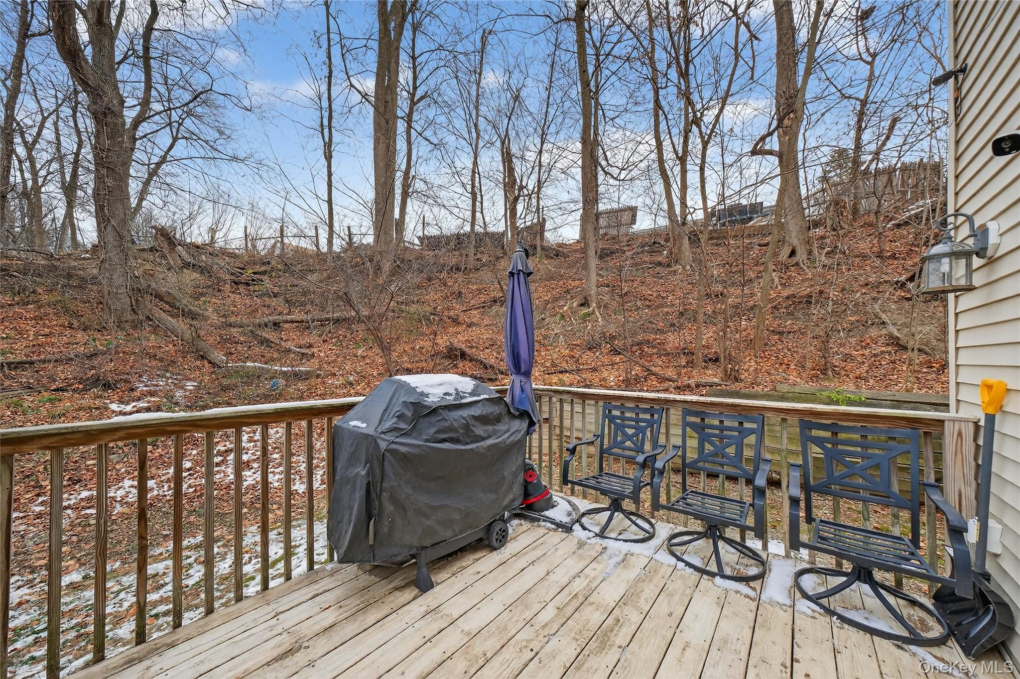 Single Family Robinson  Orange County, NY 12550, MLS-944529-20