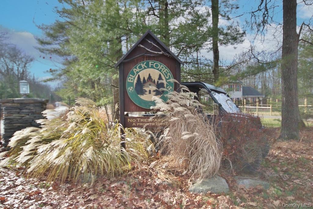 Single Family Black Forest  Sullivan County, NY 12737, MLS-944546-17