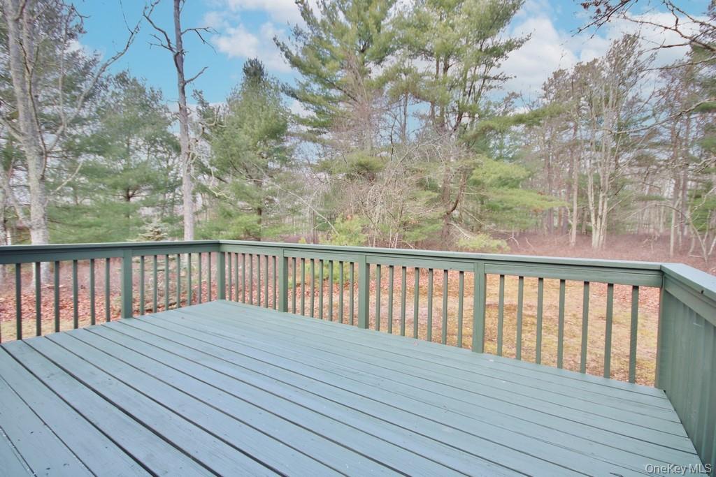 Single Family Black Forest Sullivan County, NY 12737, MLS-944546-5