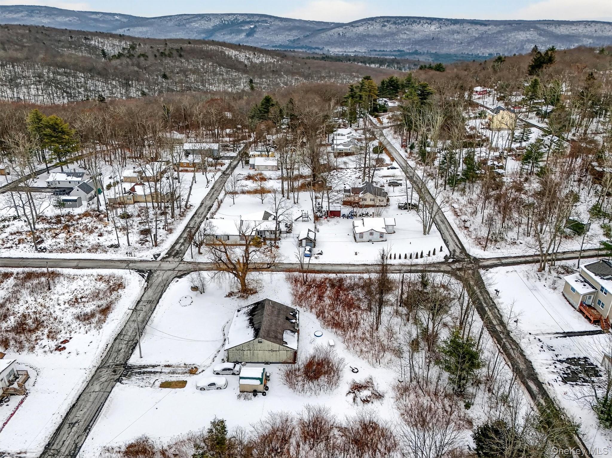 Single Family Laurel  Sullivan County, NY 12790, MLS-944554-11