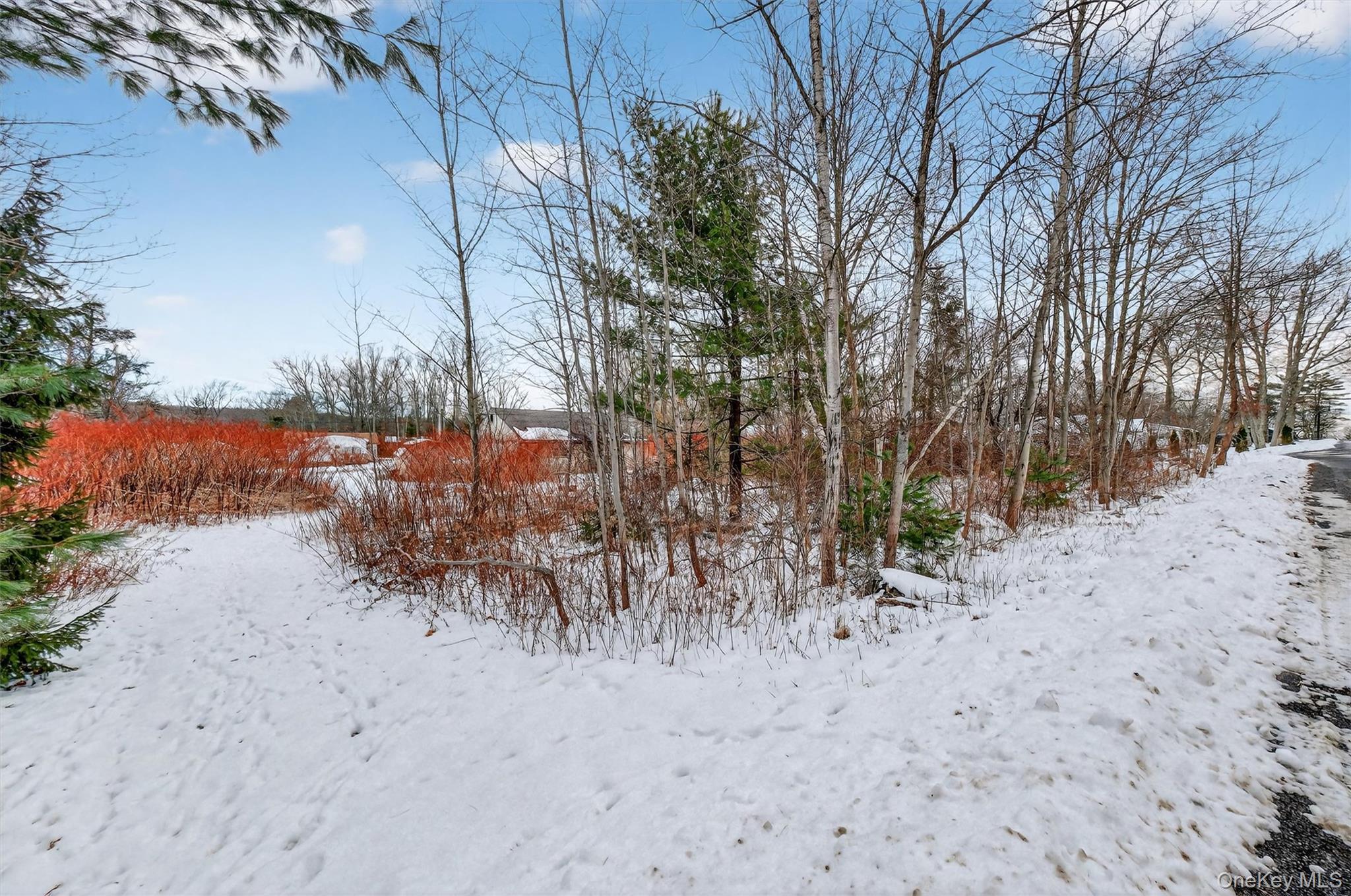 Single Family Laurel  Sullivan County, NY 12790, MLS-944554-5