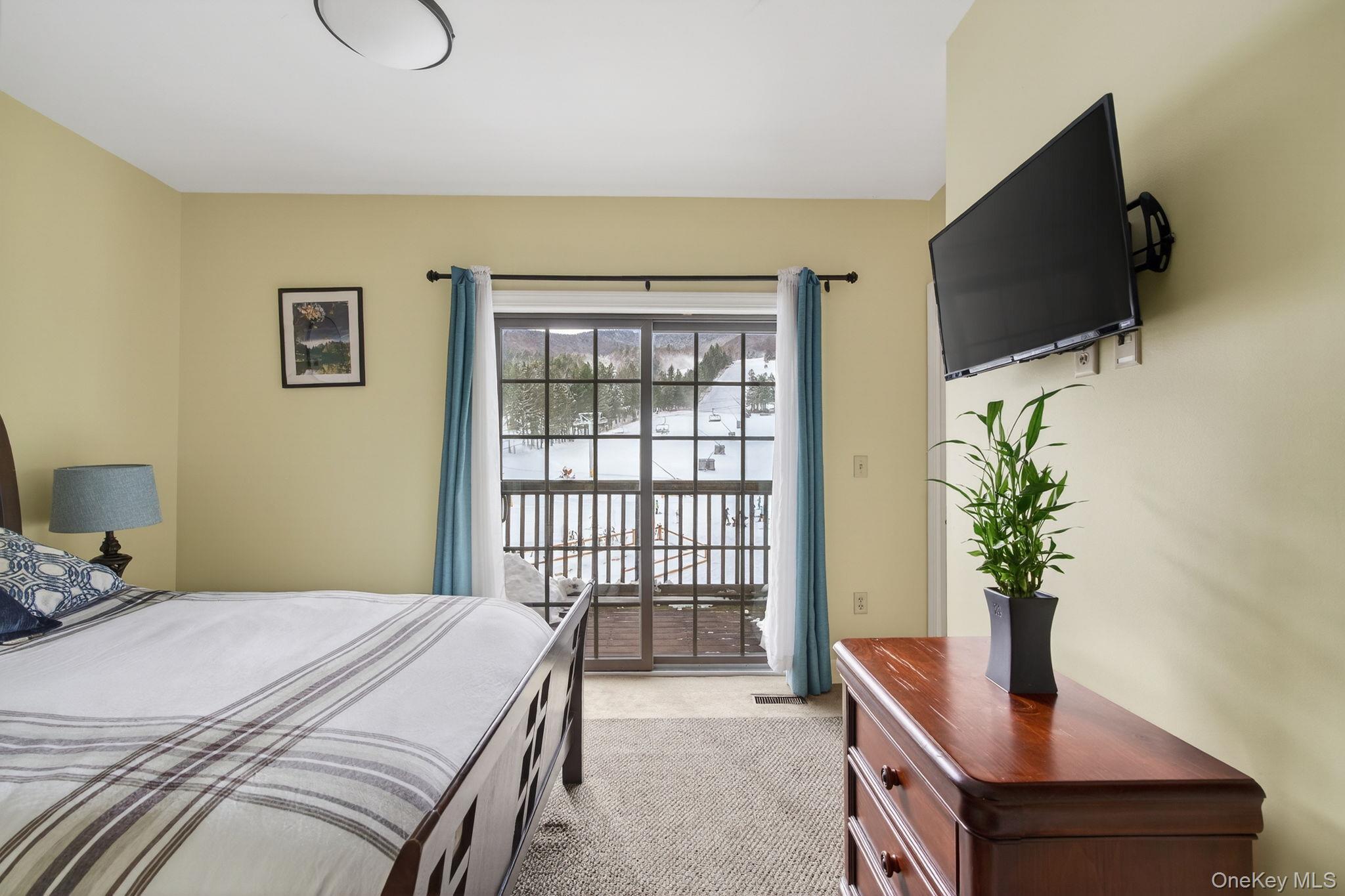 Condo Klein  Greene County, NY 12442, MLS-945109-12