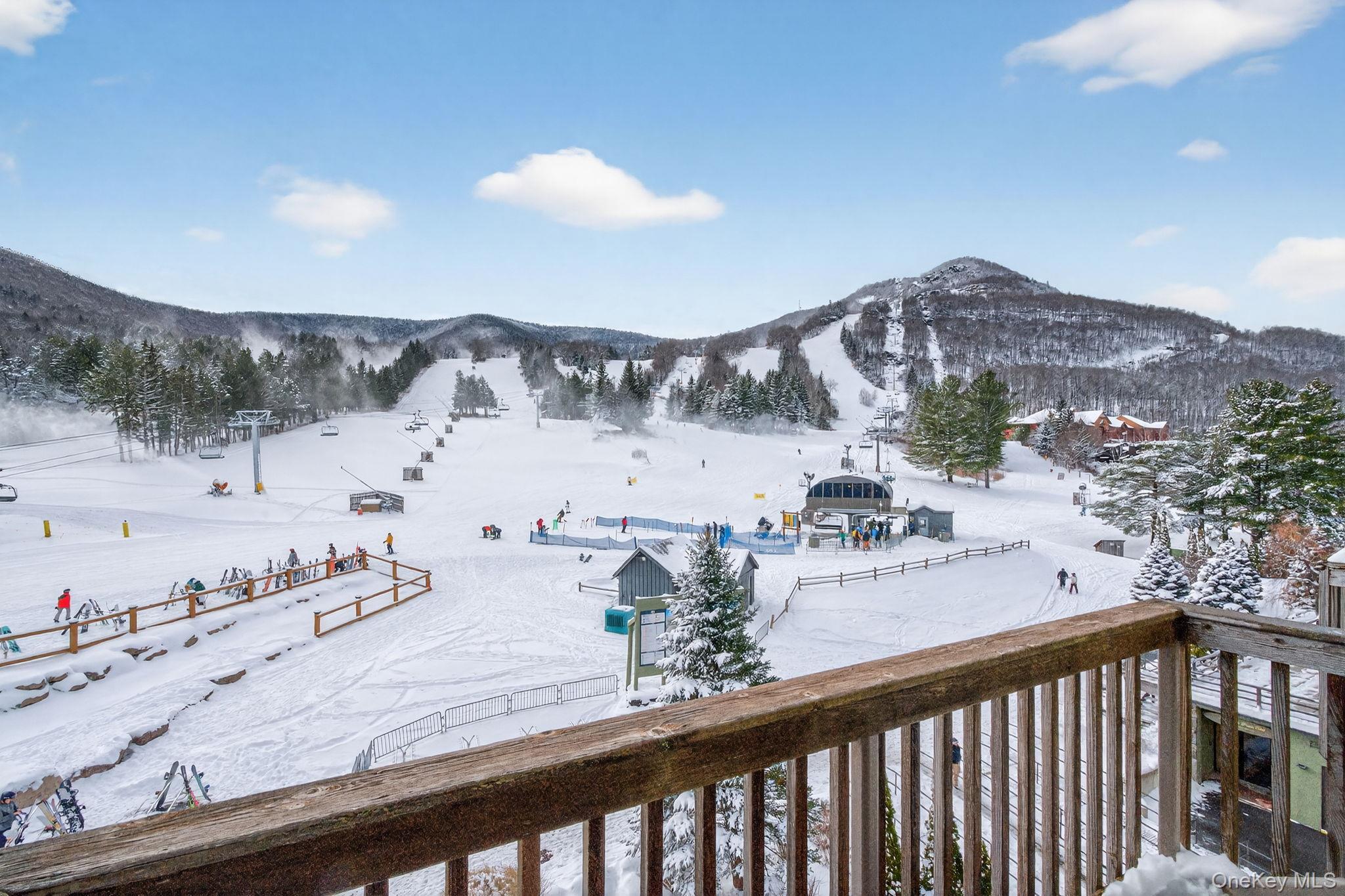 Condo Klein  Greene County, NY 12442, MLS-945109-16