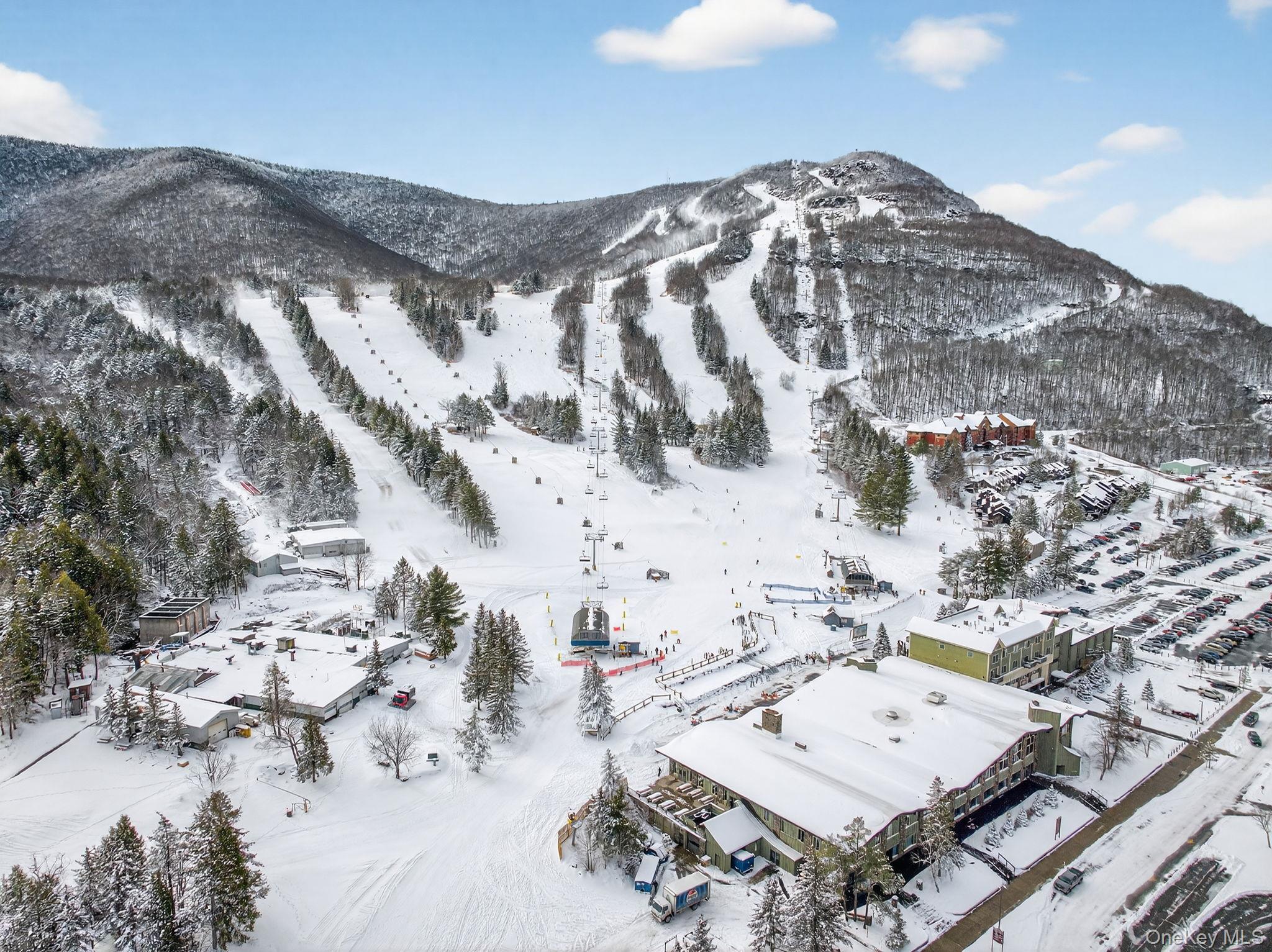 Condo Klein  Greene County, NY 12442, MLS-945109-18