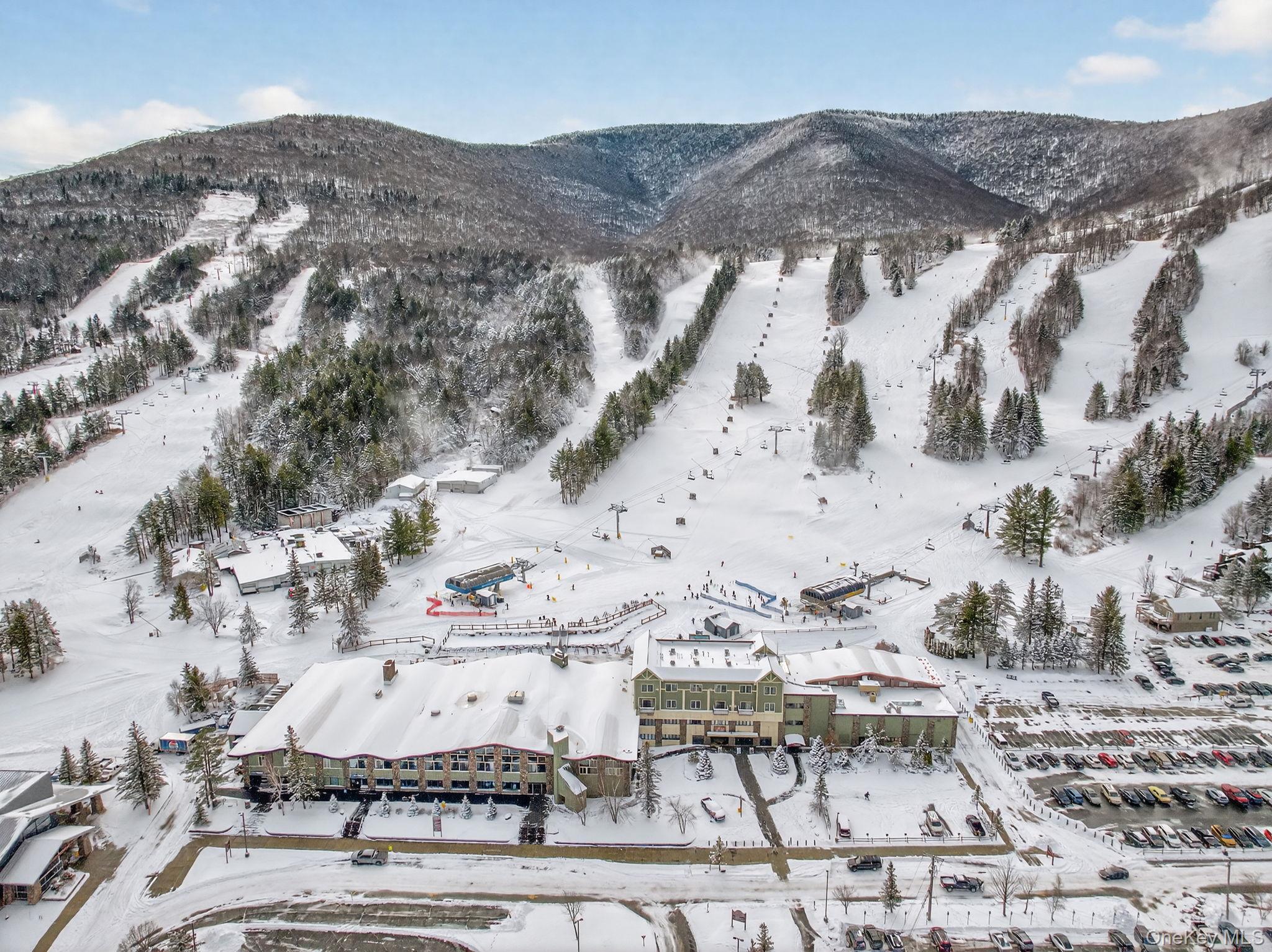 Condo Klein  Greene County, NY 12442, MLS-945109-19