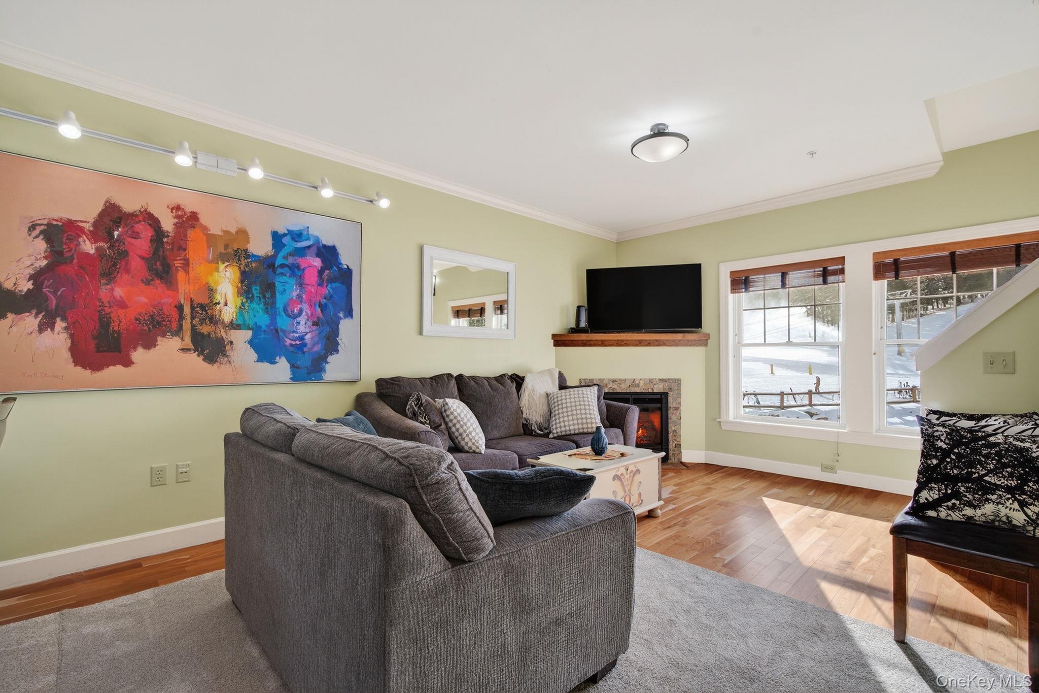 Condo Klein  Greene County, NY 12442, MLS-945109-2