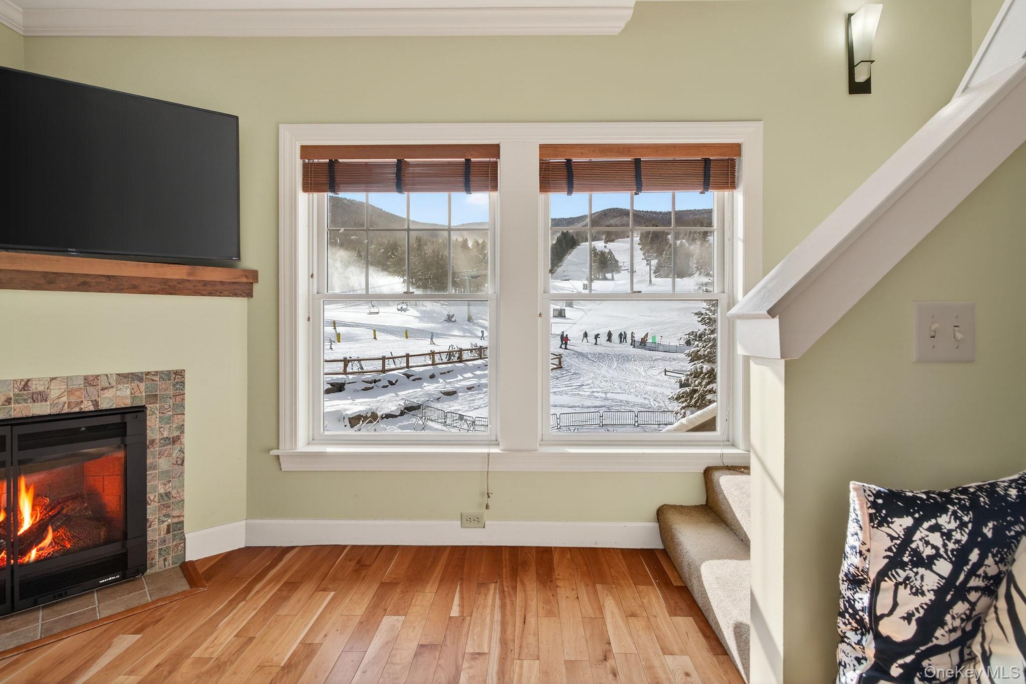 Condo Klein  Greene County, NY 12442, MLS-945109-3