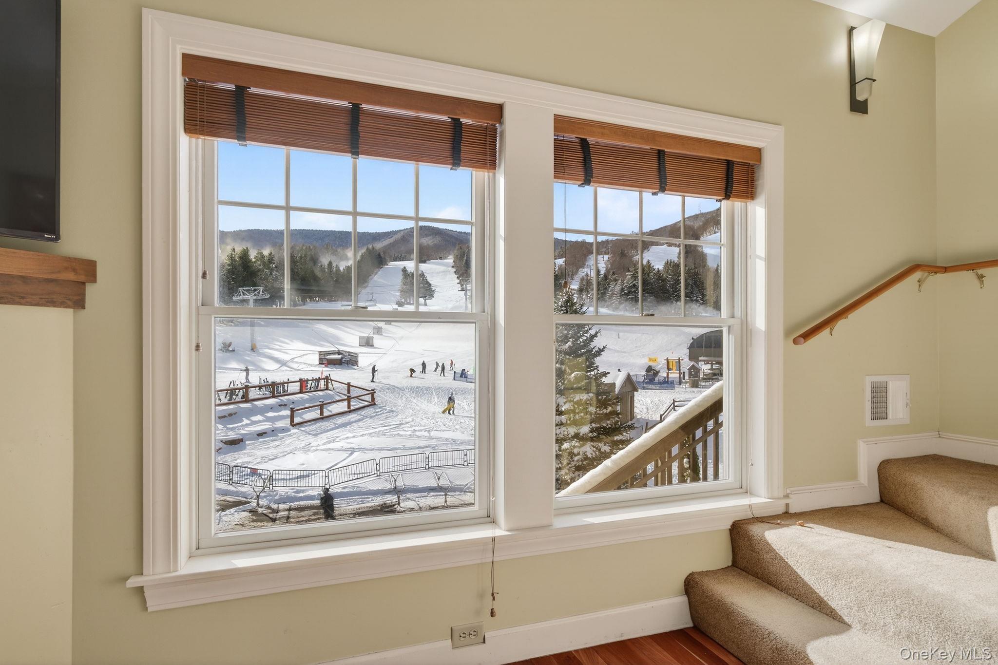 Condo Klein  Greene County, NY 12442, MLS-945109-7