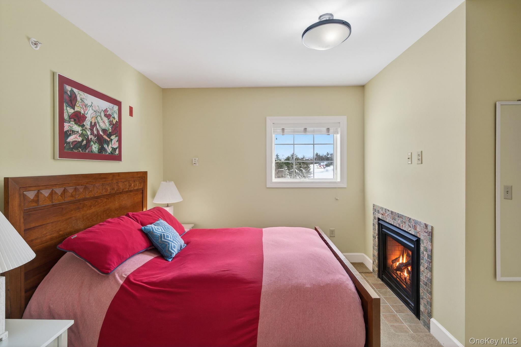 Condo Klein  Greene County, NY 12442, MLS-945109-8