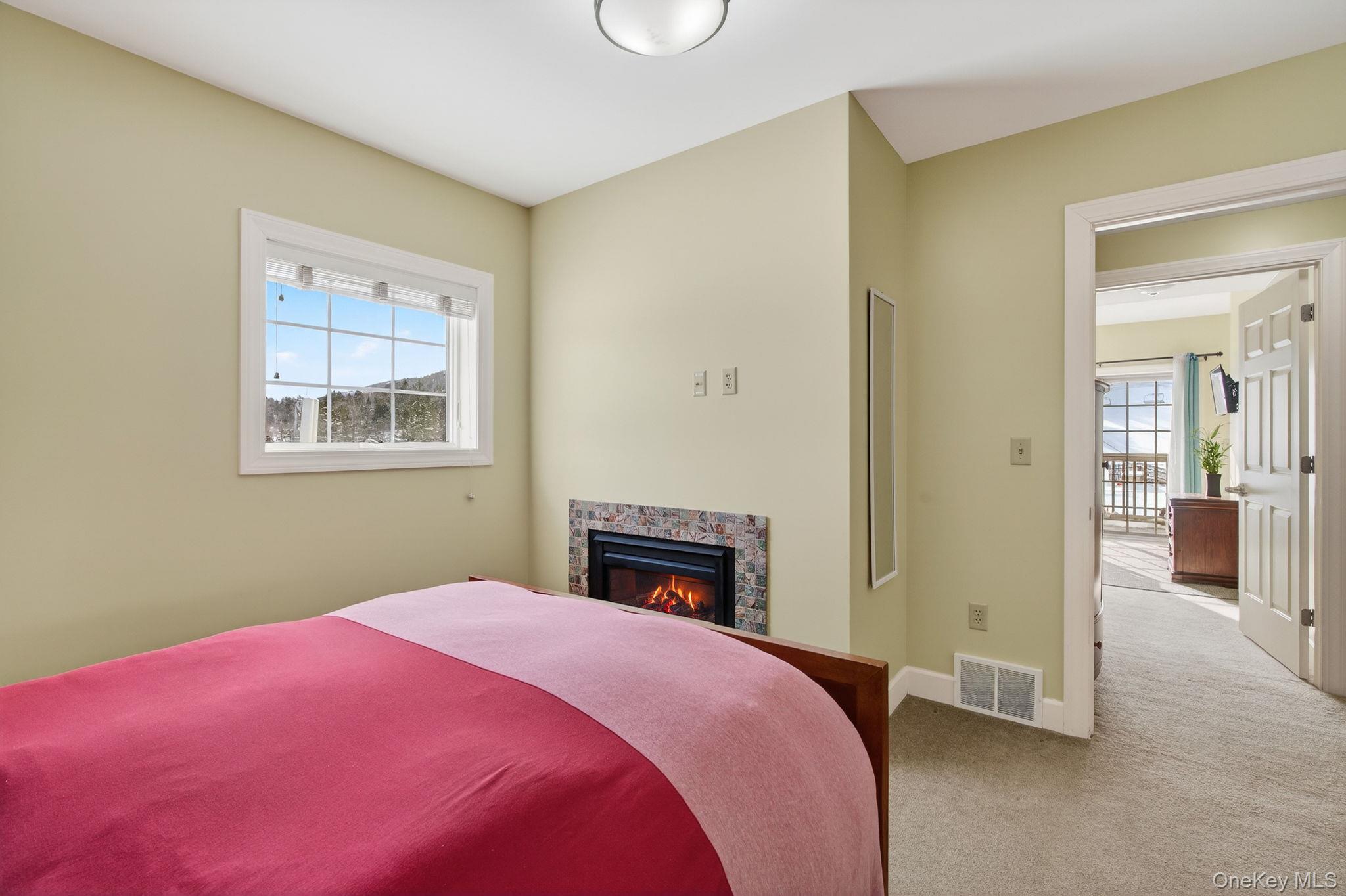 Condo Klein  Greene County, NY 12442, MLS-945109-9