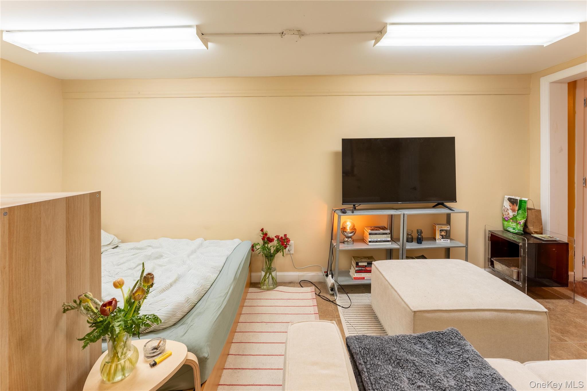 Single Family Carroll Brooklyn, NY 11225, MLS-945526-10