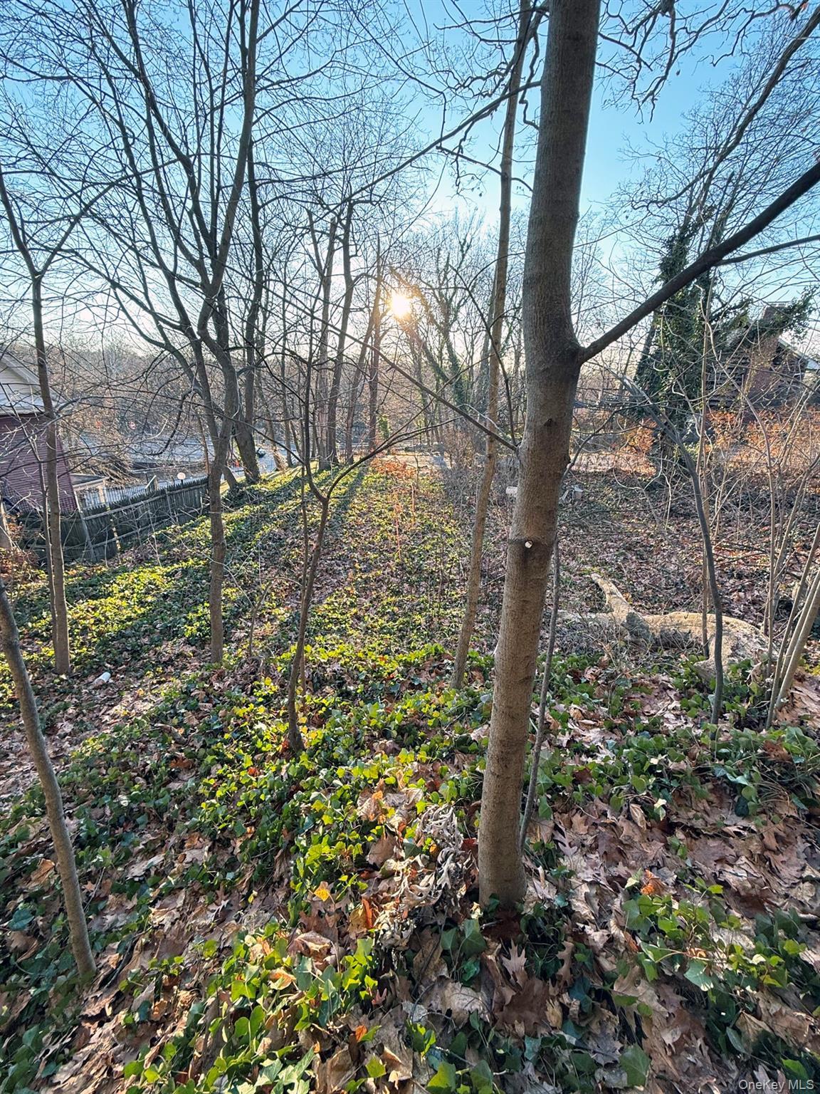 Single Family Rossmore  Westchester County, NY 10708, MLS-945529-10