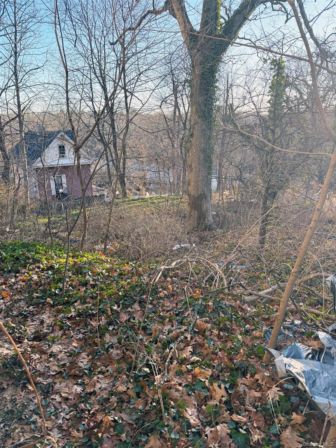 Single Family Rossmore  Westchester County, NY 10708, MLS-945529-11