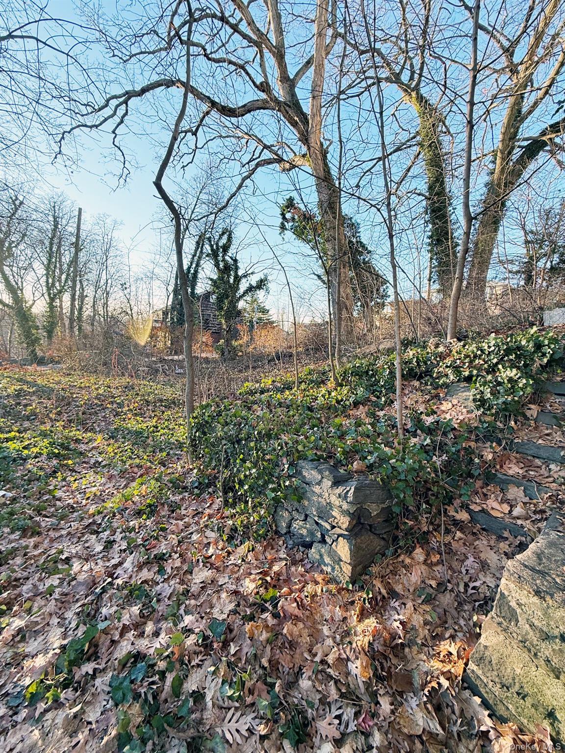 Single Family Rossmore  Westchester County, NY 10708, MLS-945529-9