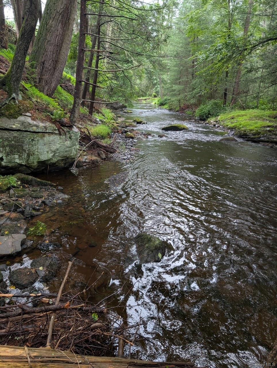 Single Family Park  Sullivan County, NY 12792, MLS-945612-11