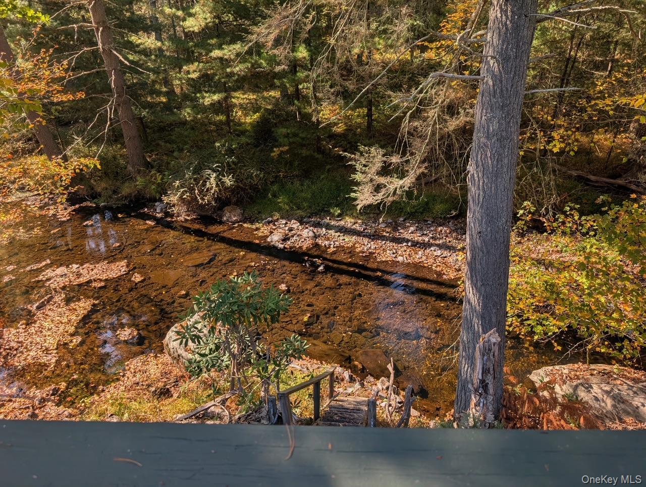 Single Family Park  Sullivan County, NY 12792, MLS-945612-4