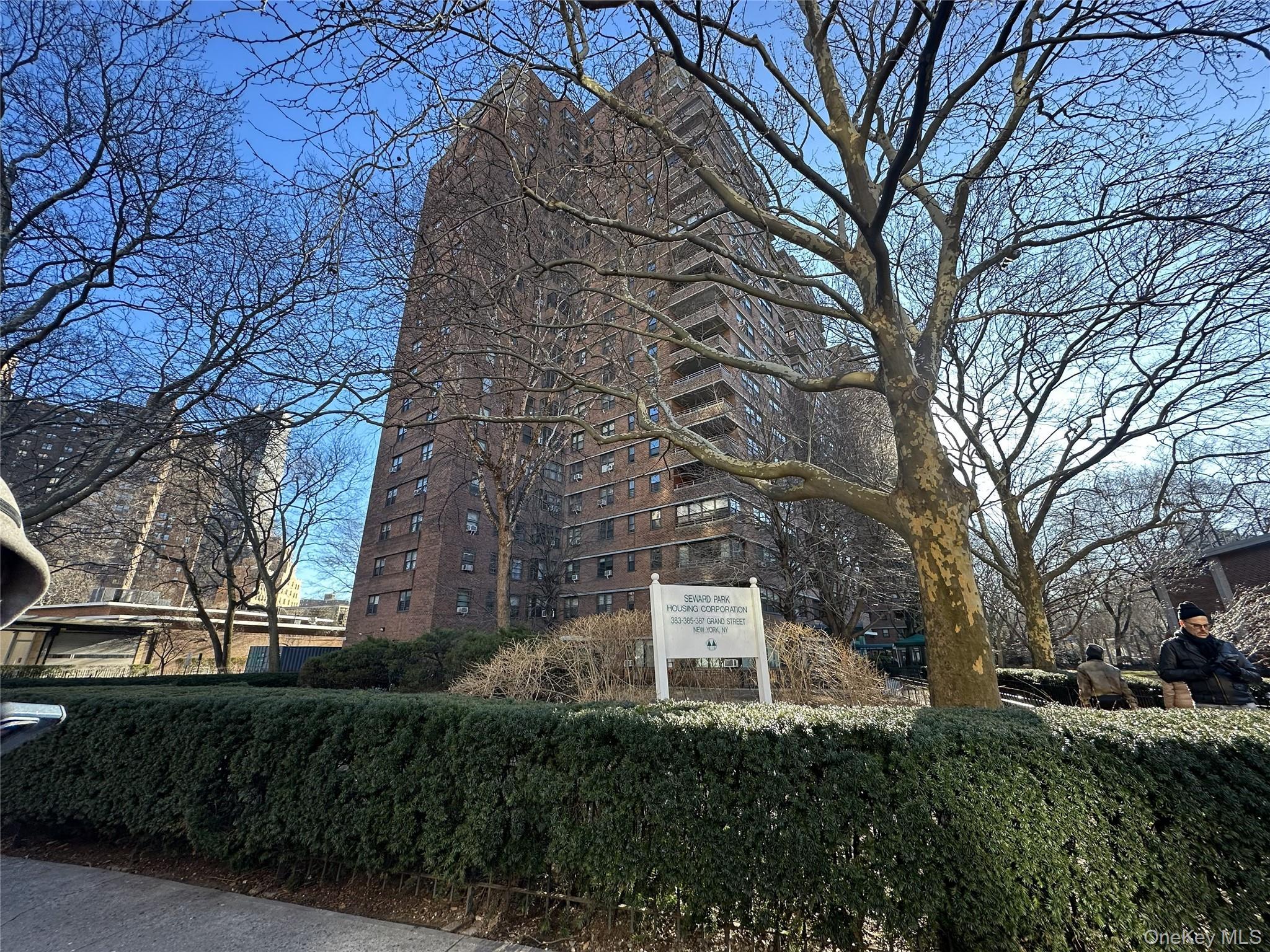Coop Grand Manhattan, NY 10002, MLS-945637-3