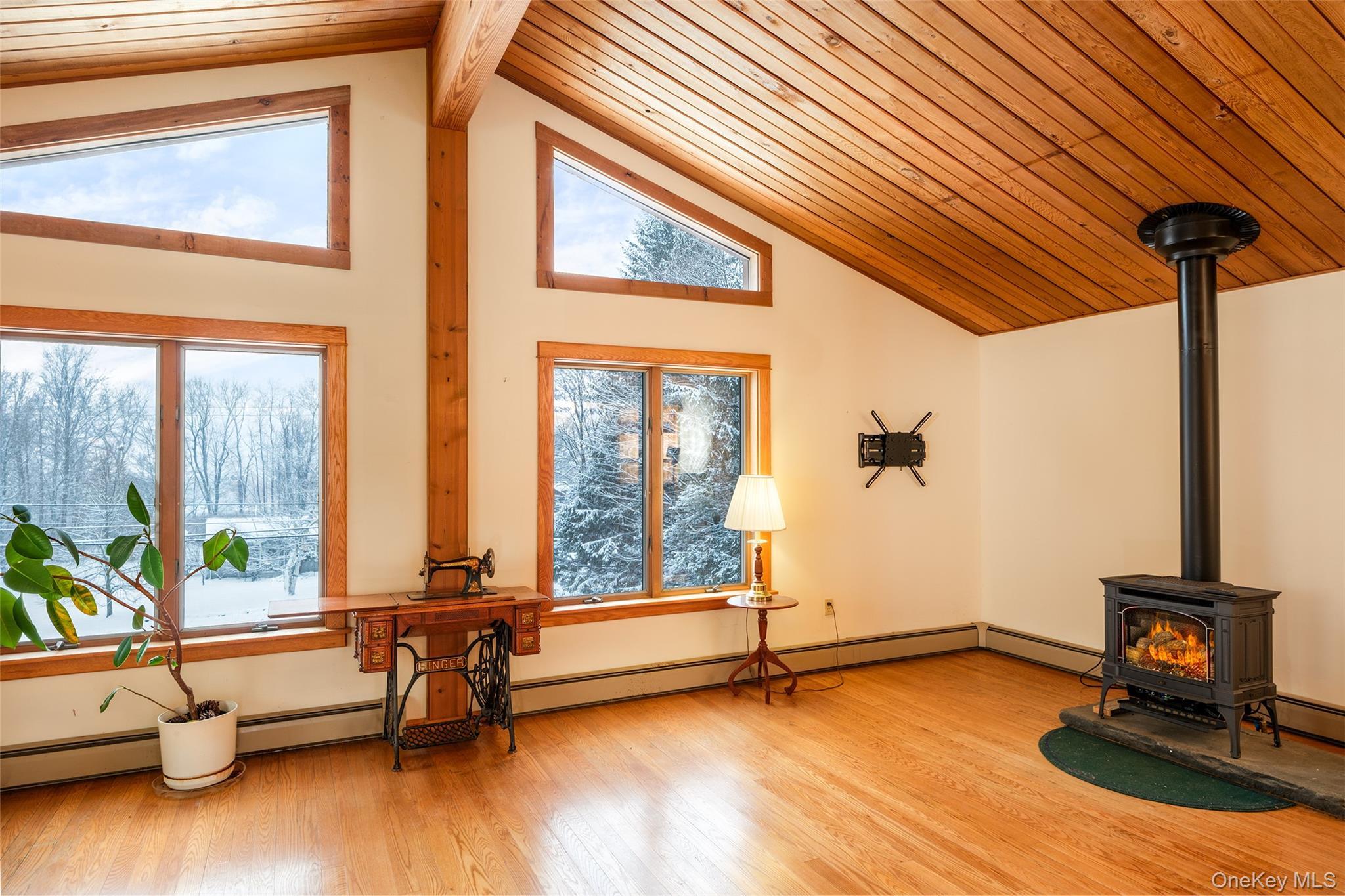 Single Family Southside Out Of Area, NY 13820, MLS-945769-13