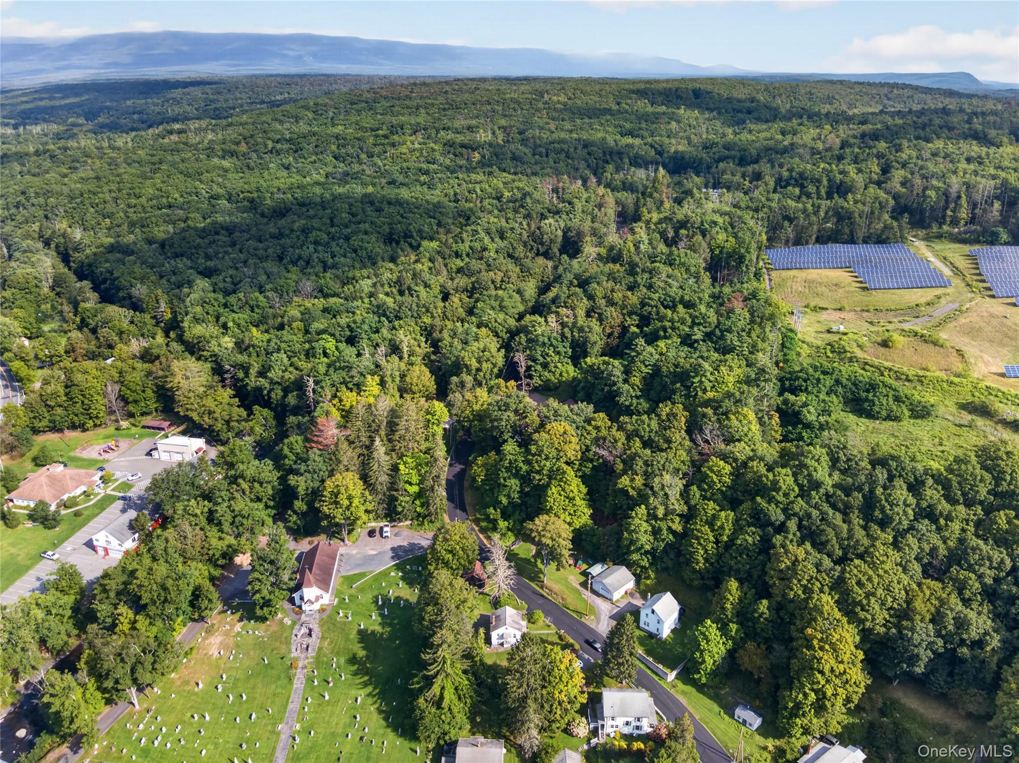 Single Family Hallihans Hill Road Ulster County, NY 12401, MLS-945928-30