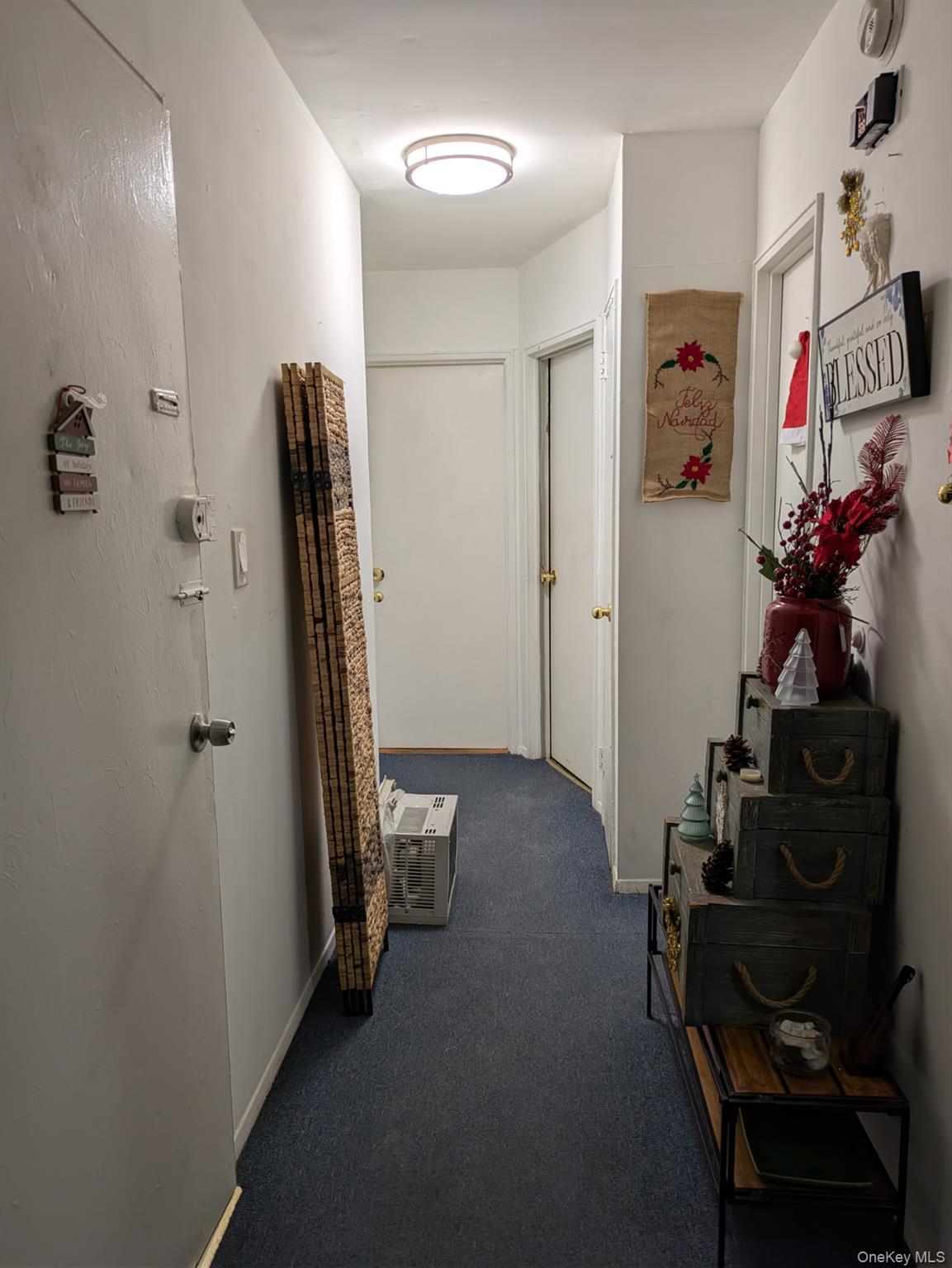 Single Family 93rd  Queens, NY 11369, MLS-945942-17