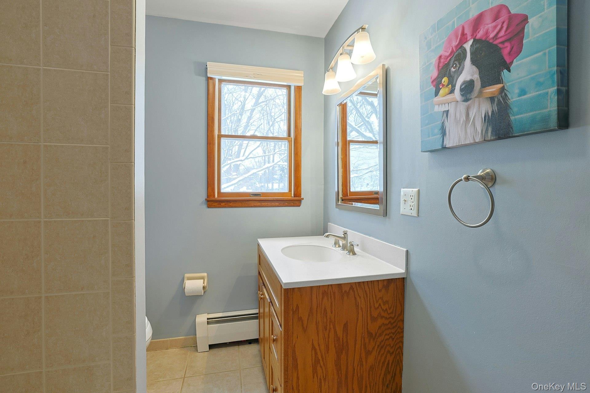 Single Family Briarwood  Rockland County, NY 10956, MLS-946593-23
