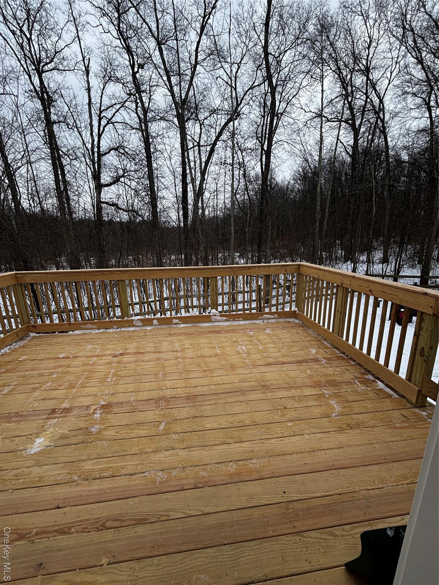 Single Family Pioneer  Ulster County, NY 12525, MLS-946644-41