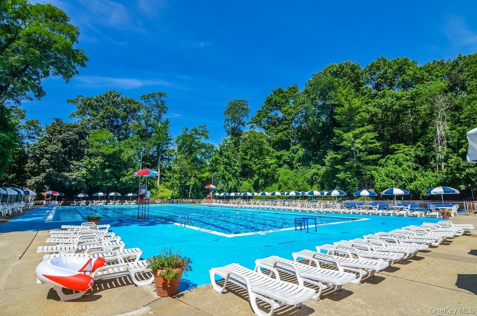 Coop Sadore Lane  Westchester County, NY 10710, MLS-946654-24