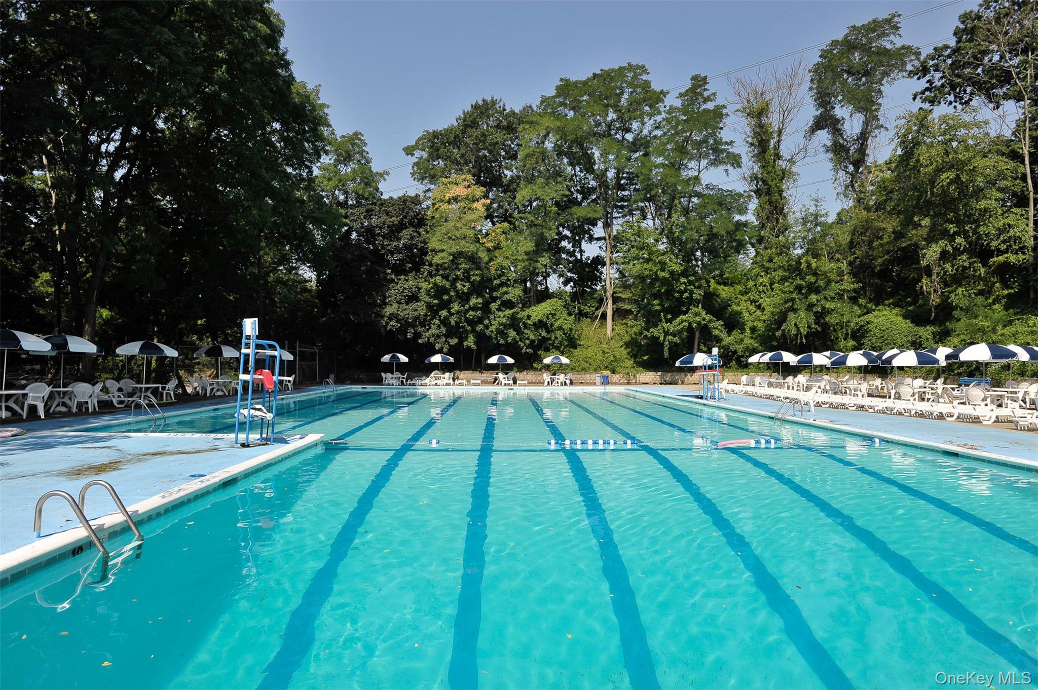 Coop Sadore Lane  Westchester County, NY 10710, MLS-946654-25