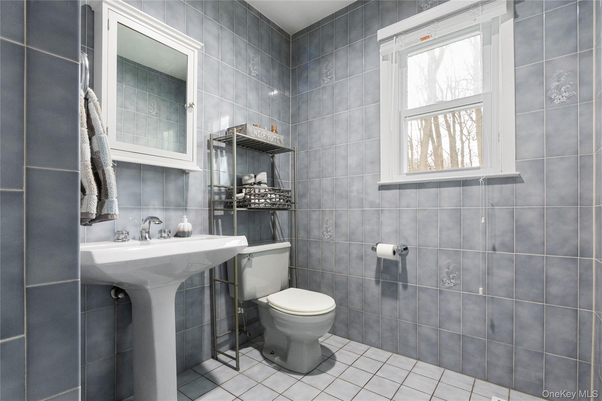 Single Family Cherokee Rd Out Of Area, NY 08816, MLS-946908-24