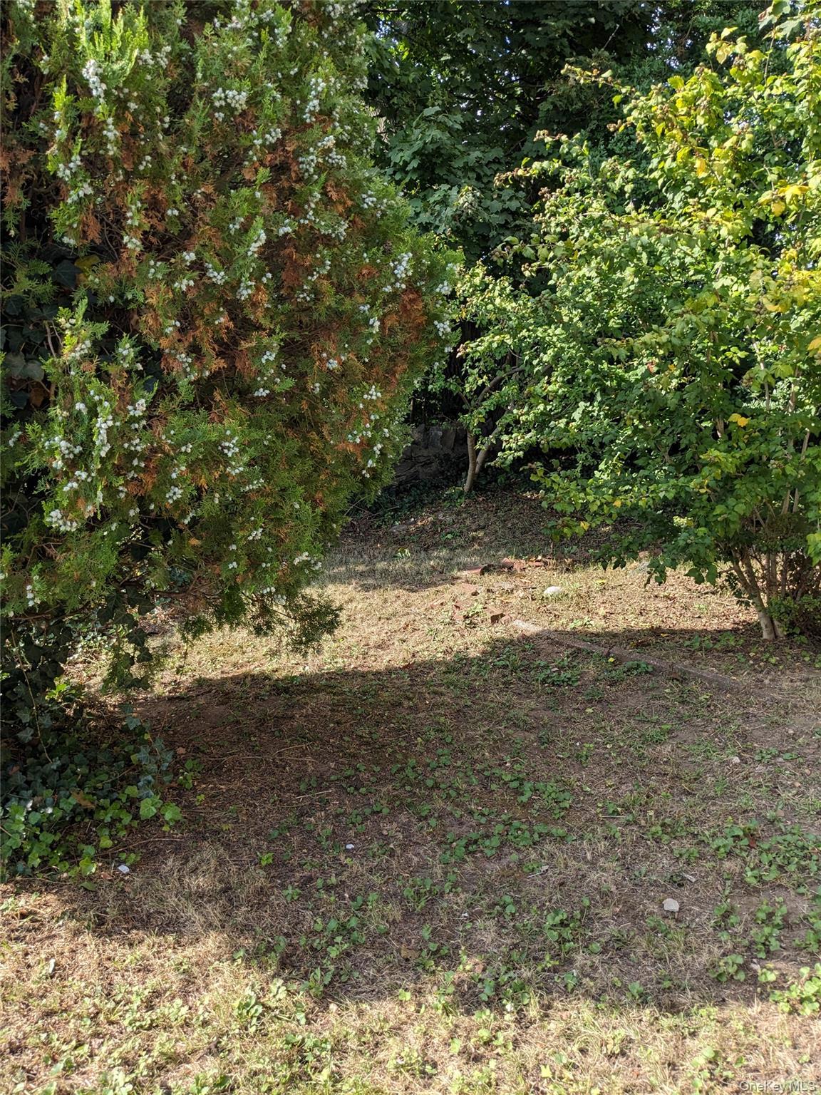 Single Family Spencer  Bronx, NY 10471, MLS-947026-20