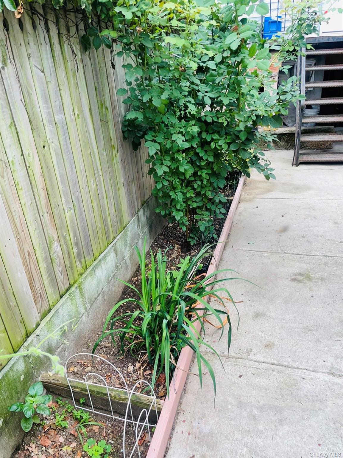 Single Family Marconi  Brooklyn, NY 11233, MLS-947086-28