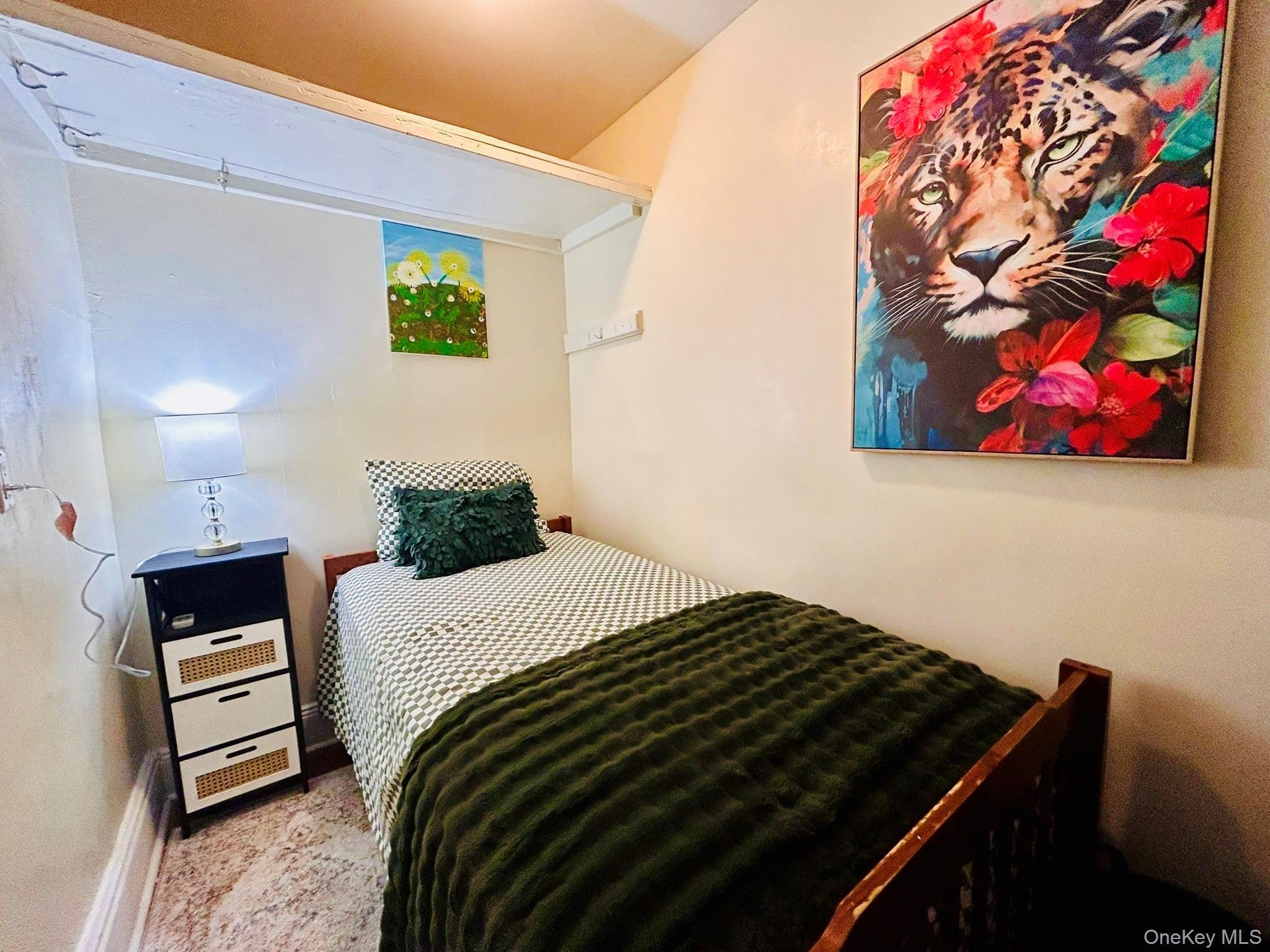 Single Family Marconi  Brooklyn, NY 11233, MLS-947086-6