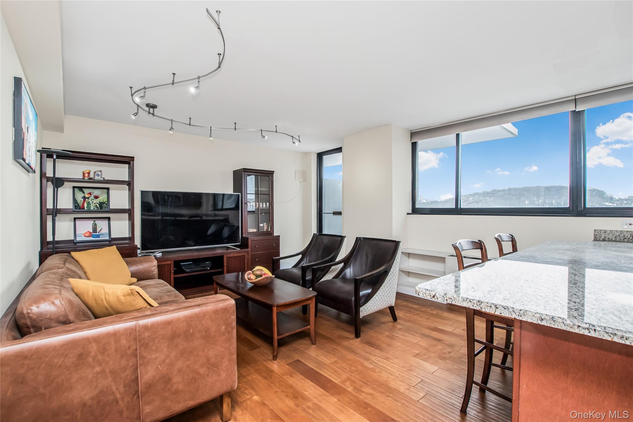 Condo Johnson Bronx, NY 10463, MLS-947088-3