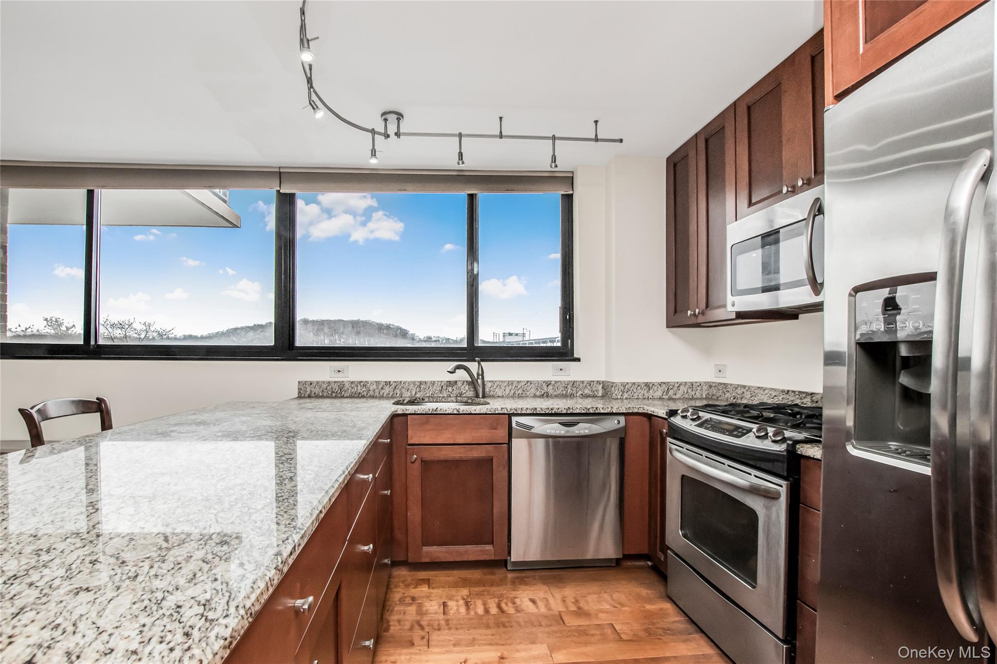 Condo Johnson Bronx, NY 10463, MLS-947088-6