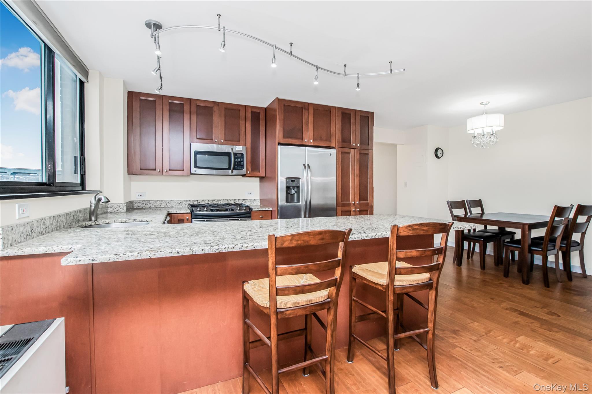 Condo Johnson Bronx, NY 10463, MLS-947088-7