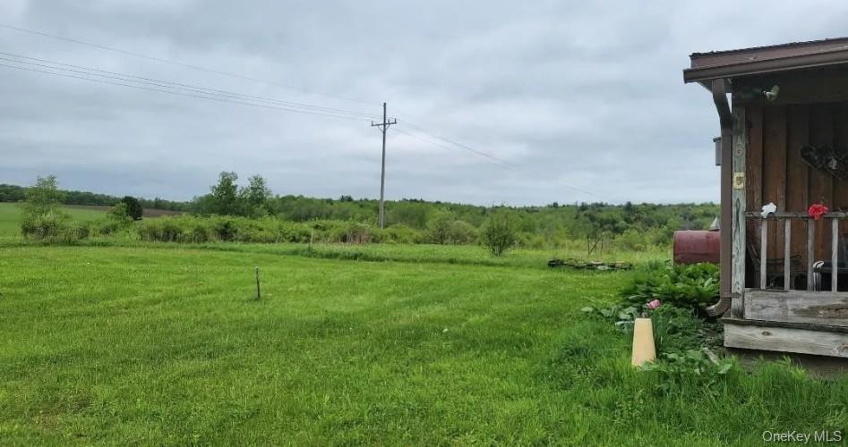 Single Family Route 41  Out Of Area, NY 13863, MLS-947185-3