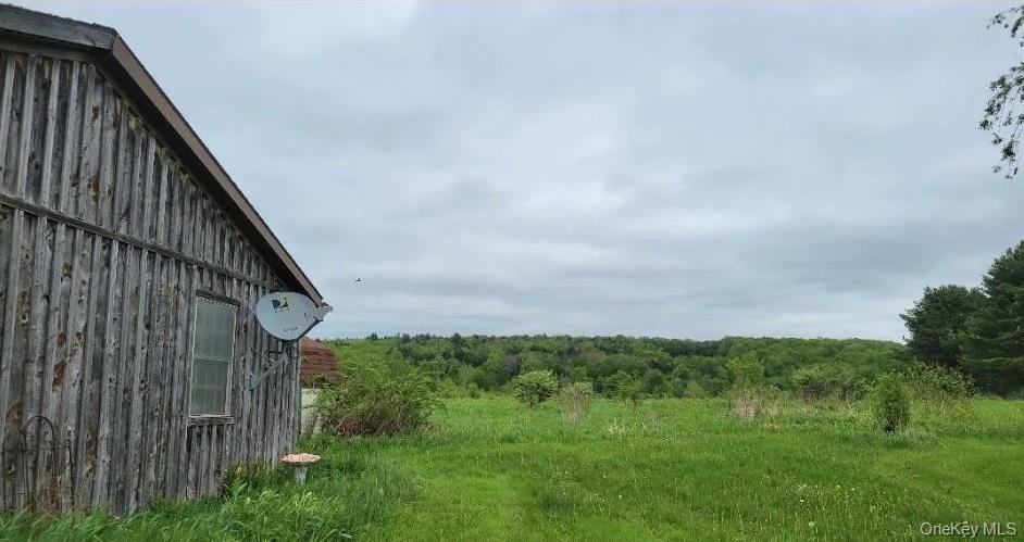Single Family Route 41  Out Of Area, NY 13863, MLS-947185-4